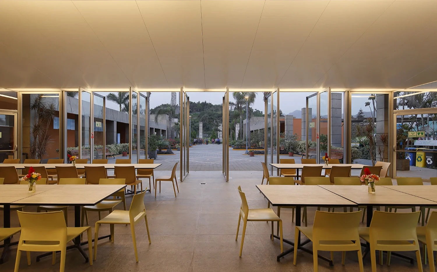 Interior de un comedor con mesas y sillas, vistas a un espacio exterior con palmeras y naturaleza, en hora de atardecer o amanecer.