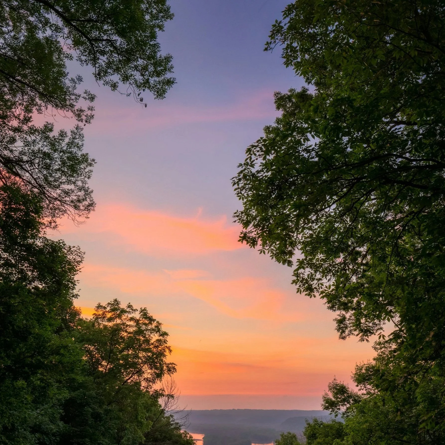 Sunset sky with pink and purple clouds framed by green trees on either side.