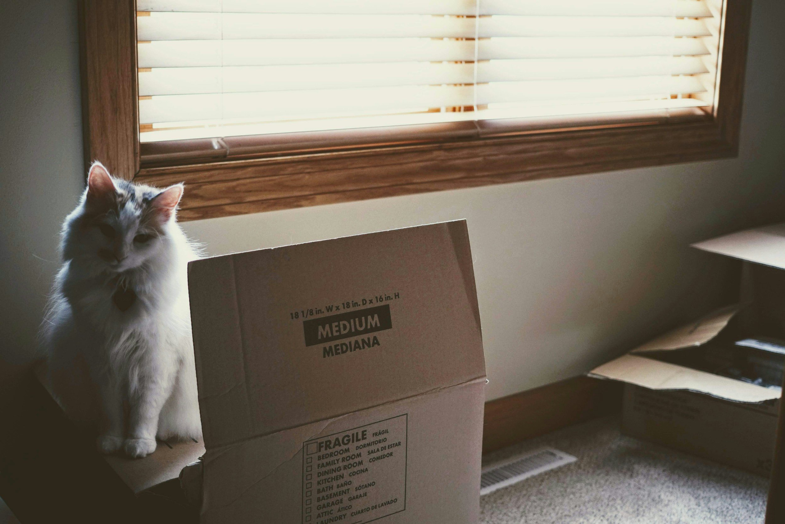 5 Moving Pro-Tips To Actually Reduce Stress