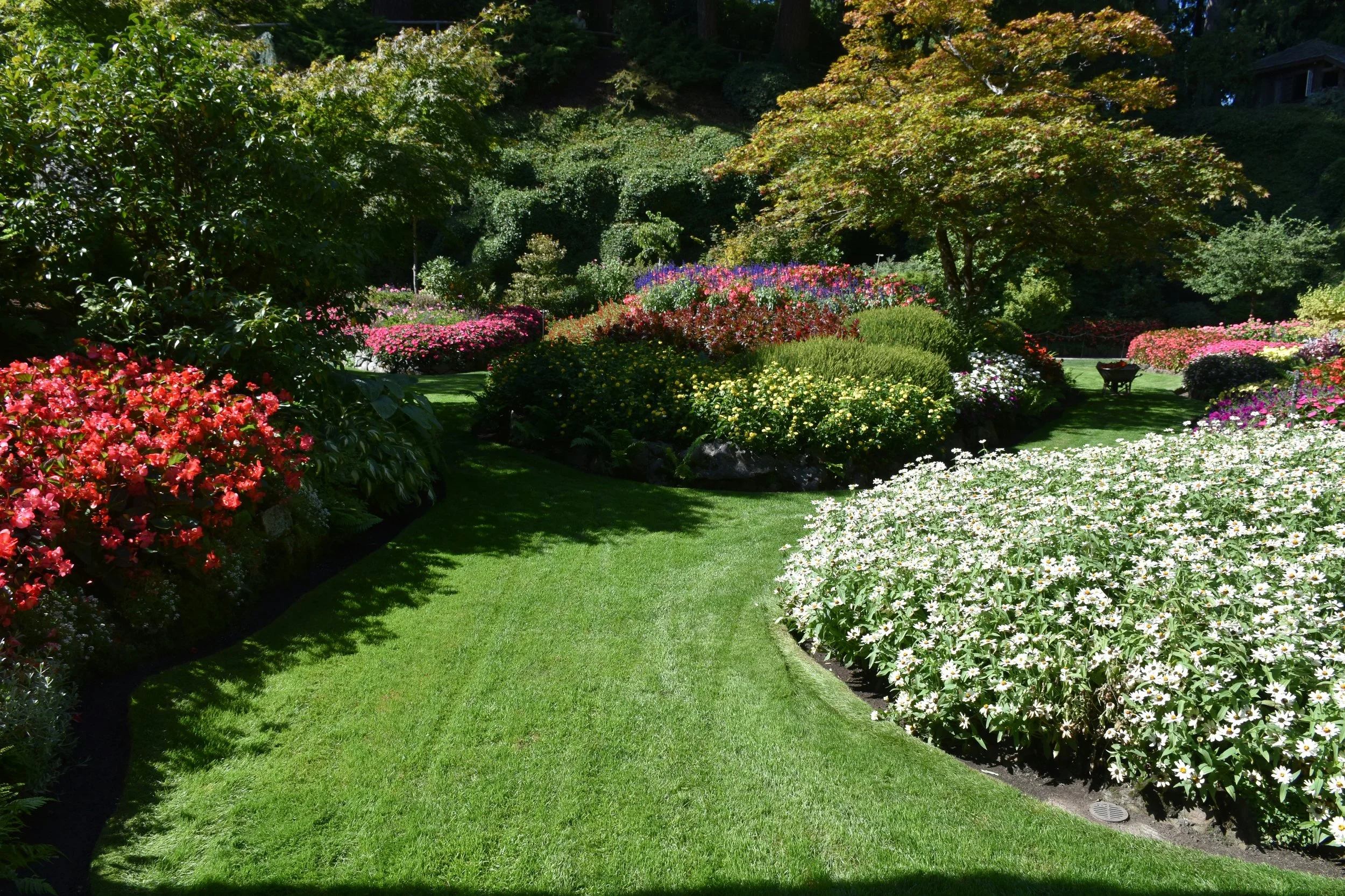Summer Garden Ideas That Instantly Boost Curb Appeal