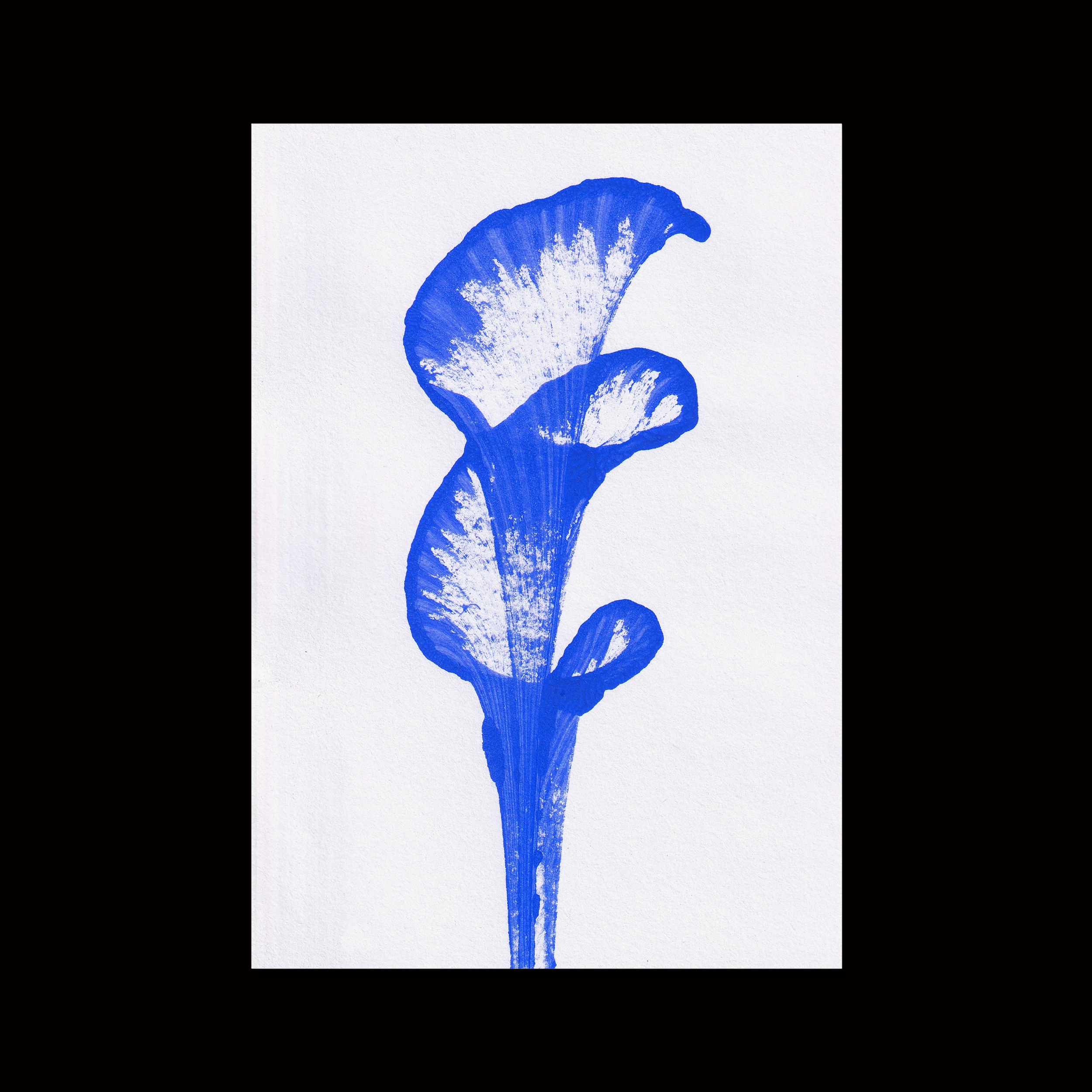 prodigi-global-fap-a5-portrait (2).png