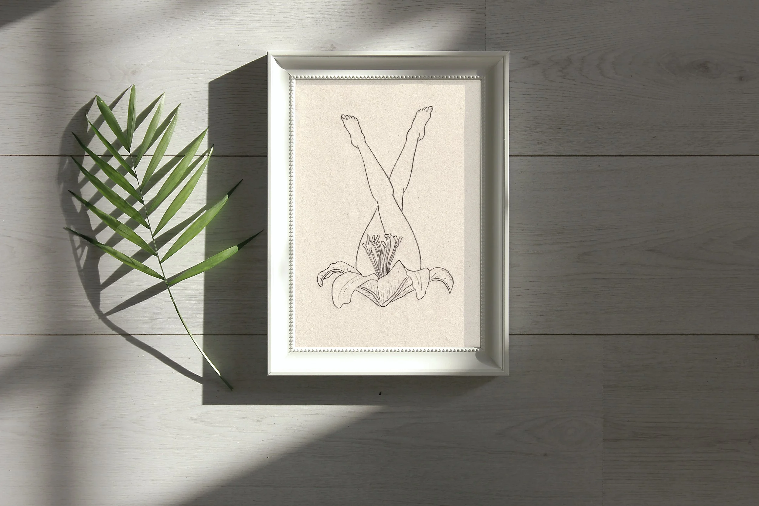 lily general_display 2.jpg