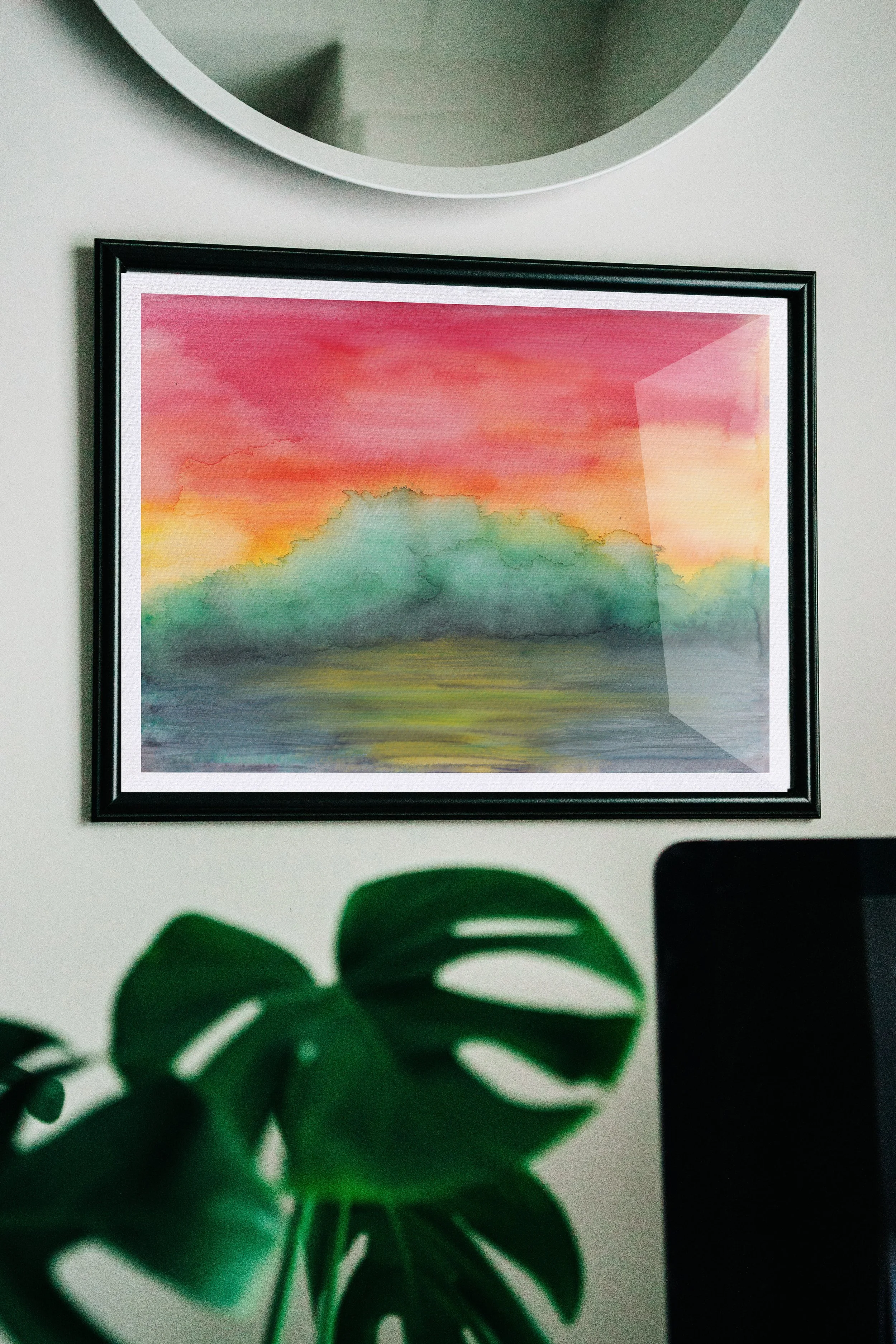 sunrise monstera display.jpg