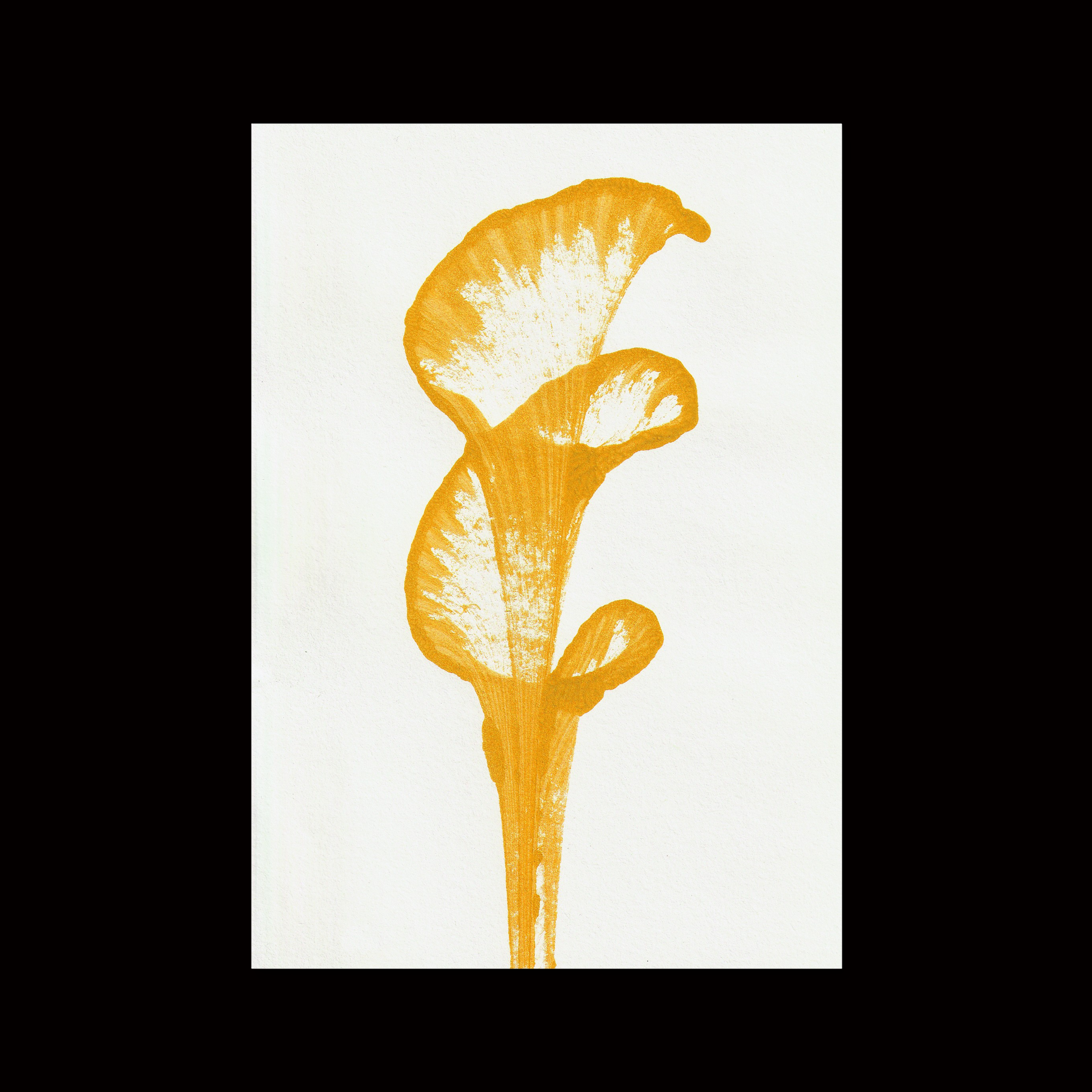 prodigi-global-fap-a5-portrait (3).png