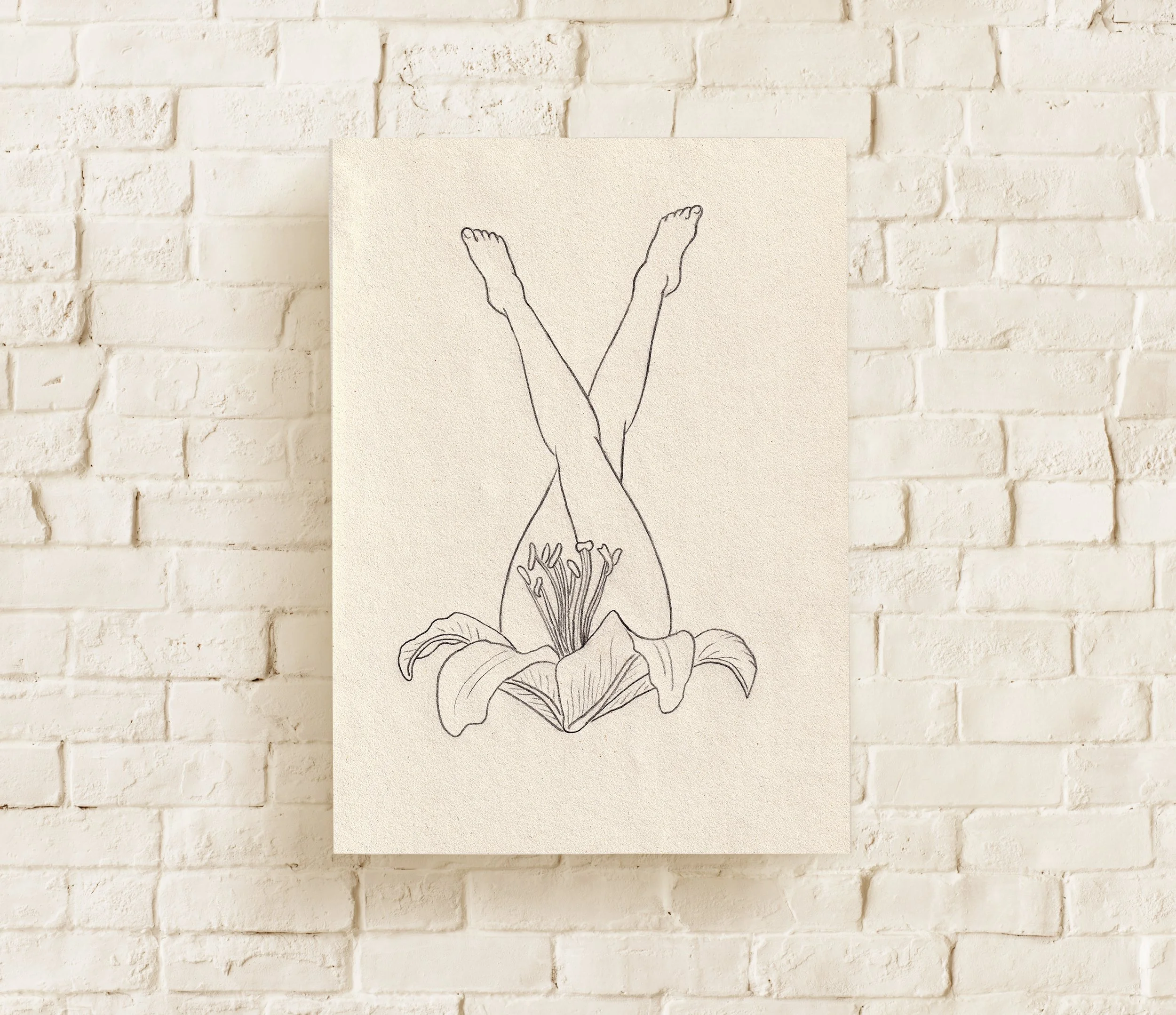 lily Blank canvas on white.jpg