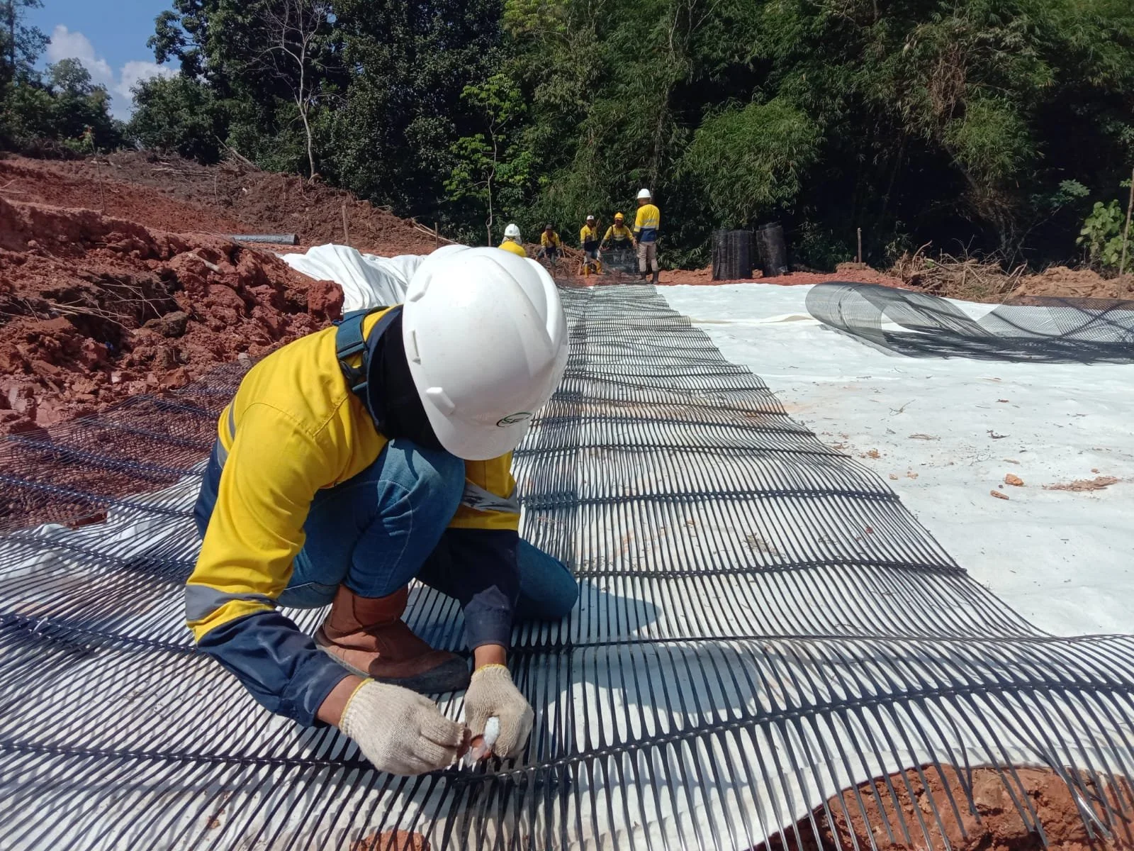 WhatsApp Image 2026-02-03 at 10.47.29.jpeg