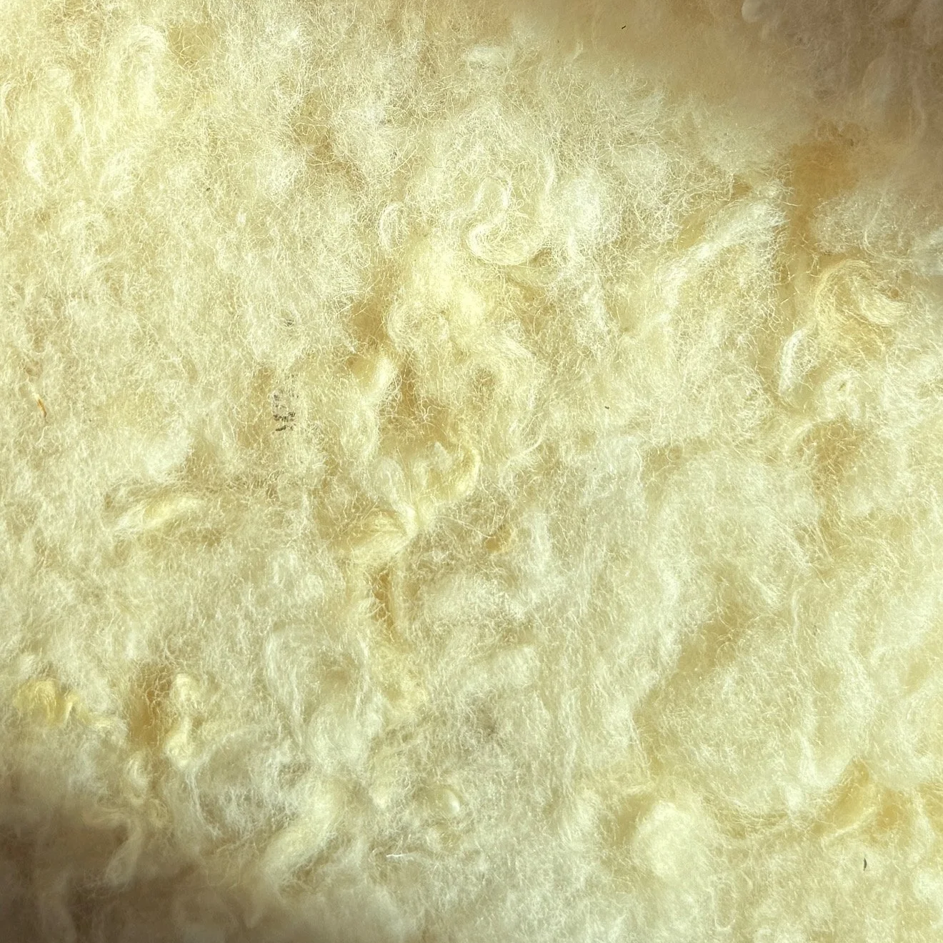 Insulation Matters More Than You Think