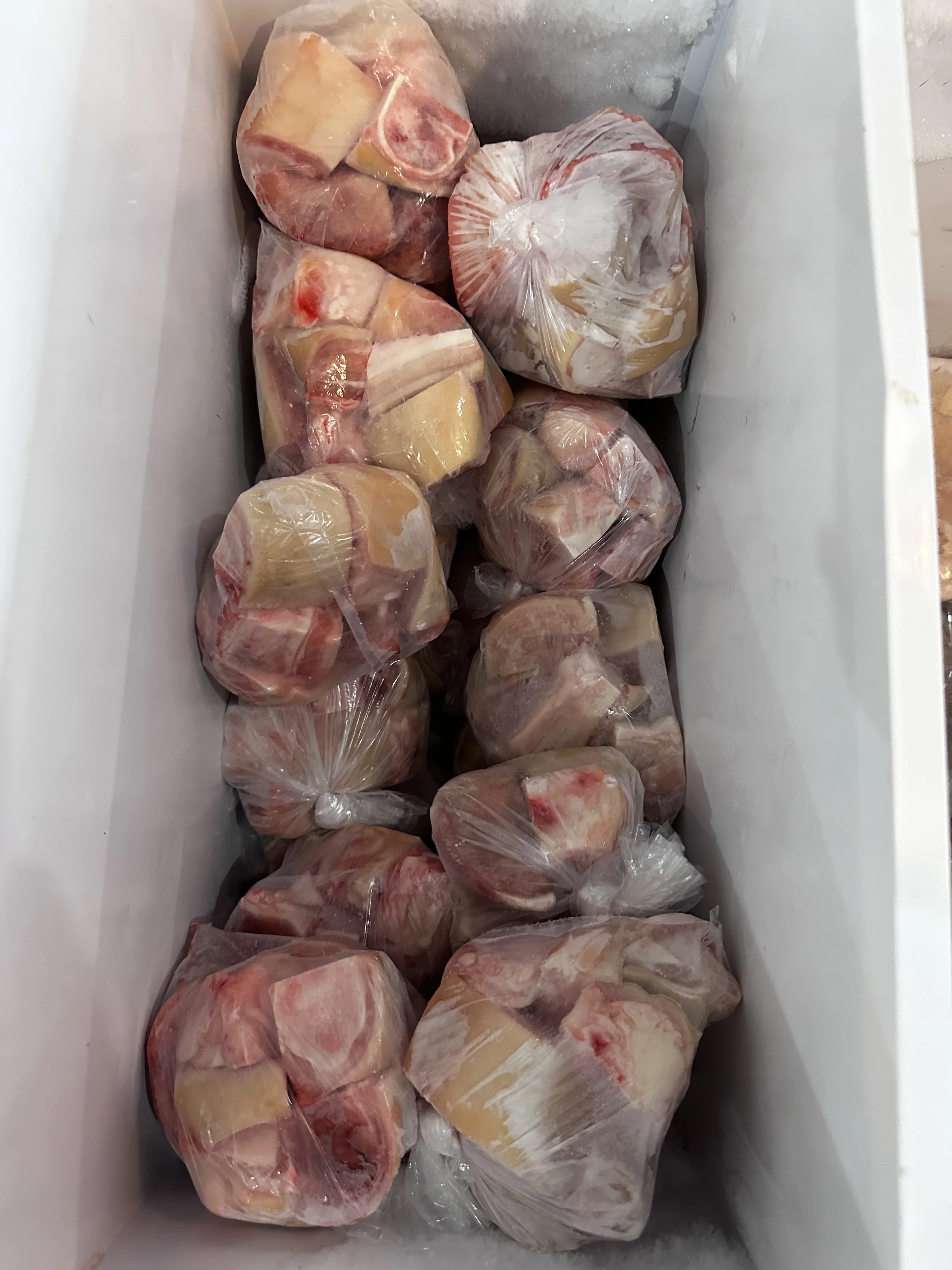 Frozen meat cuts in plastic bags inside a white cooler.