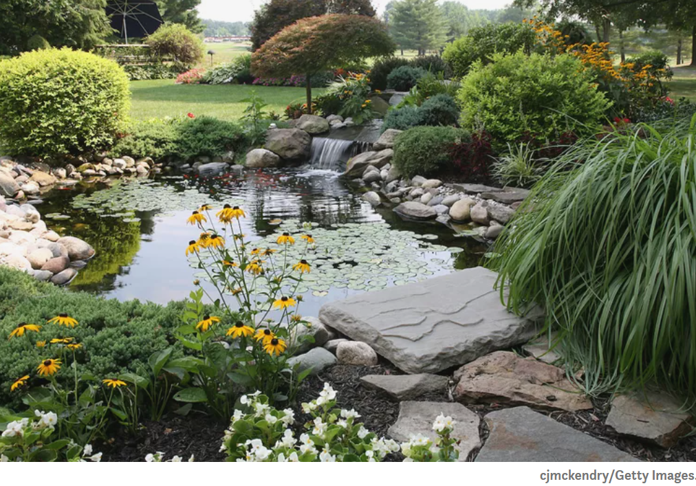 Permaculture Gardens