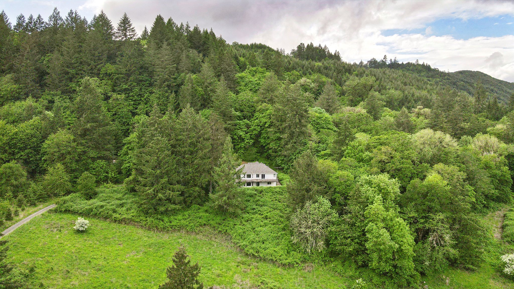 drone-aerial-rural-home-surrounded-by-trees-oregon.jpg