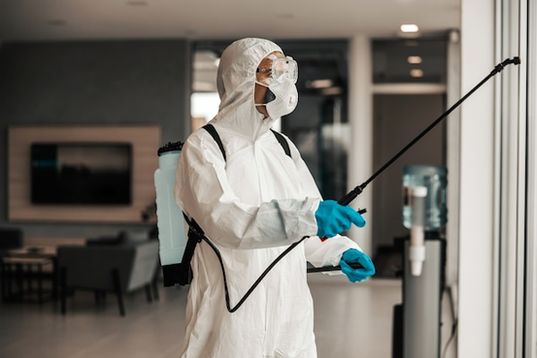 5 Tempat di Rumah yang Sering Jadi Sarang Bakteri (Tanpa Anda Sadari!)