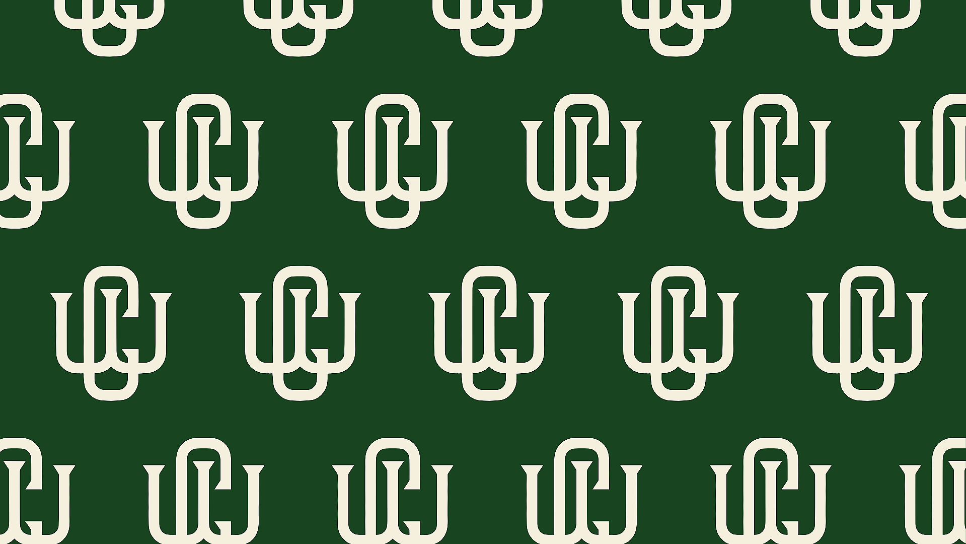 A complete brand foundation built from the ground up. This brand kit includes logo variations, color palette, typography, and usage guidelines — giving the business everything it needs to launch confidently and stay visually consistent.