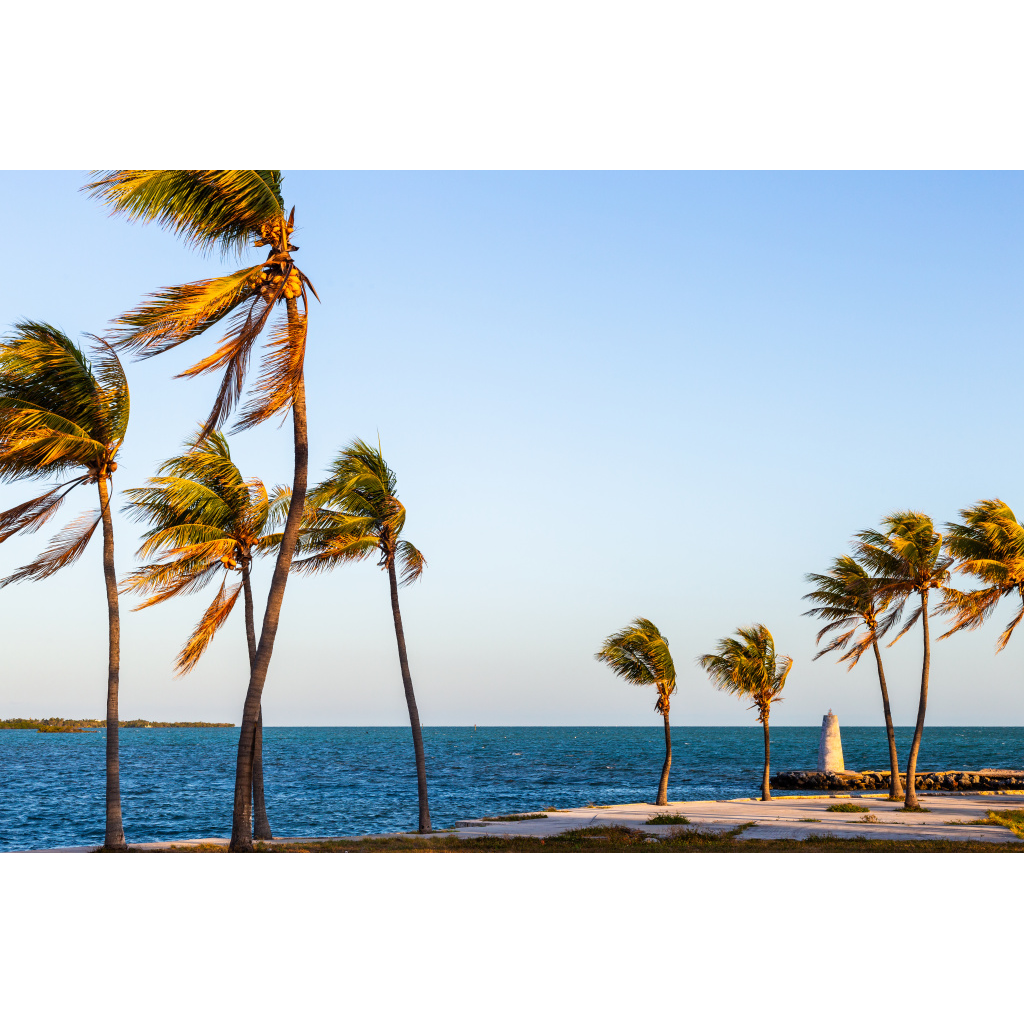 Marathon Key shoreline with tropical palms and navigational beacon.