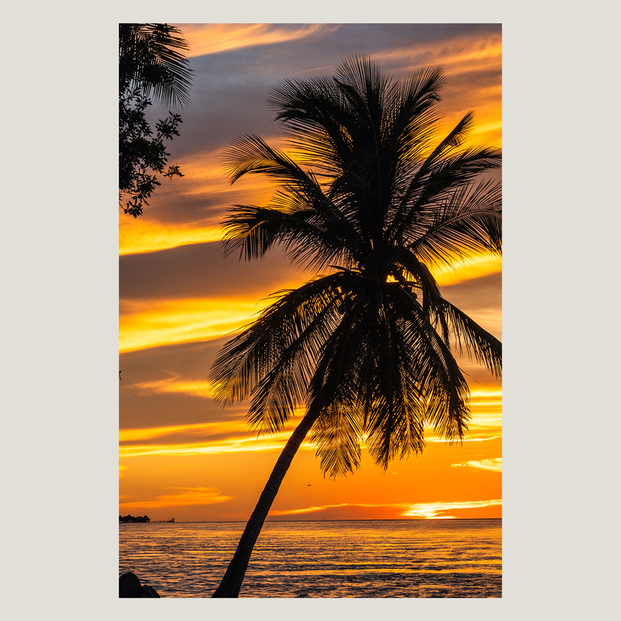 Palm tree silhouette against a vivid Florida Keys sunset sky