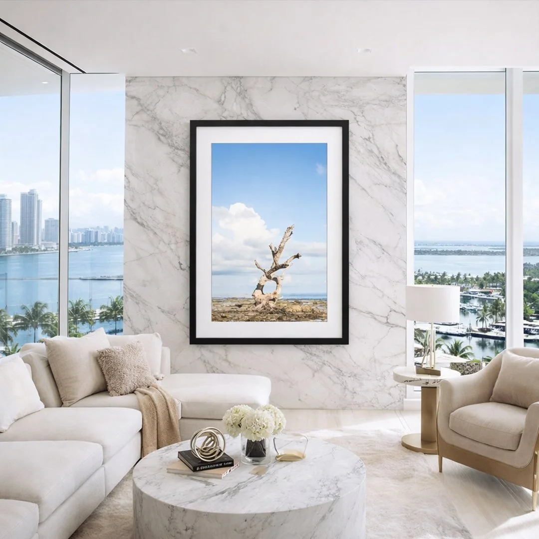 Luxury Miami living room with framed coastal fine art photography print of weathered driftwood tree at low tide, museum-quality wall art in black frame with white mat