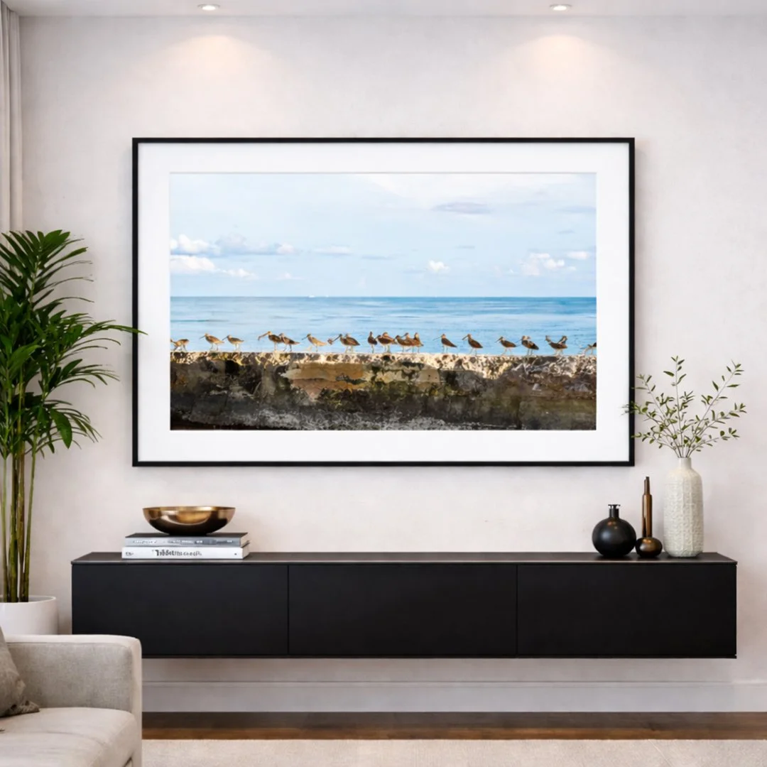 Framed Marbled Godwits shoreline print styled in a coastal living room.
