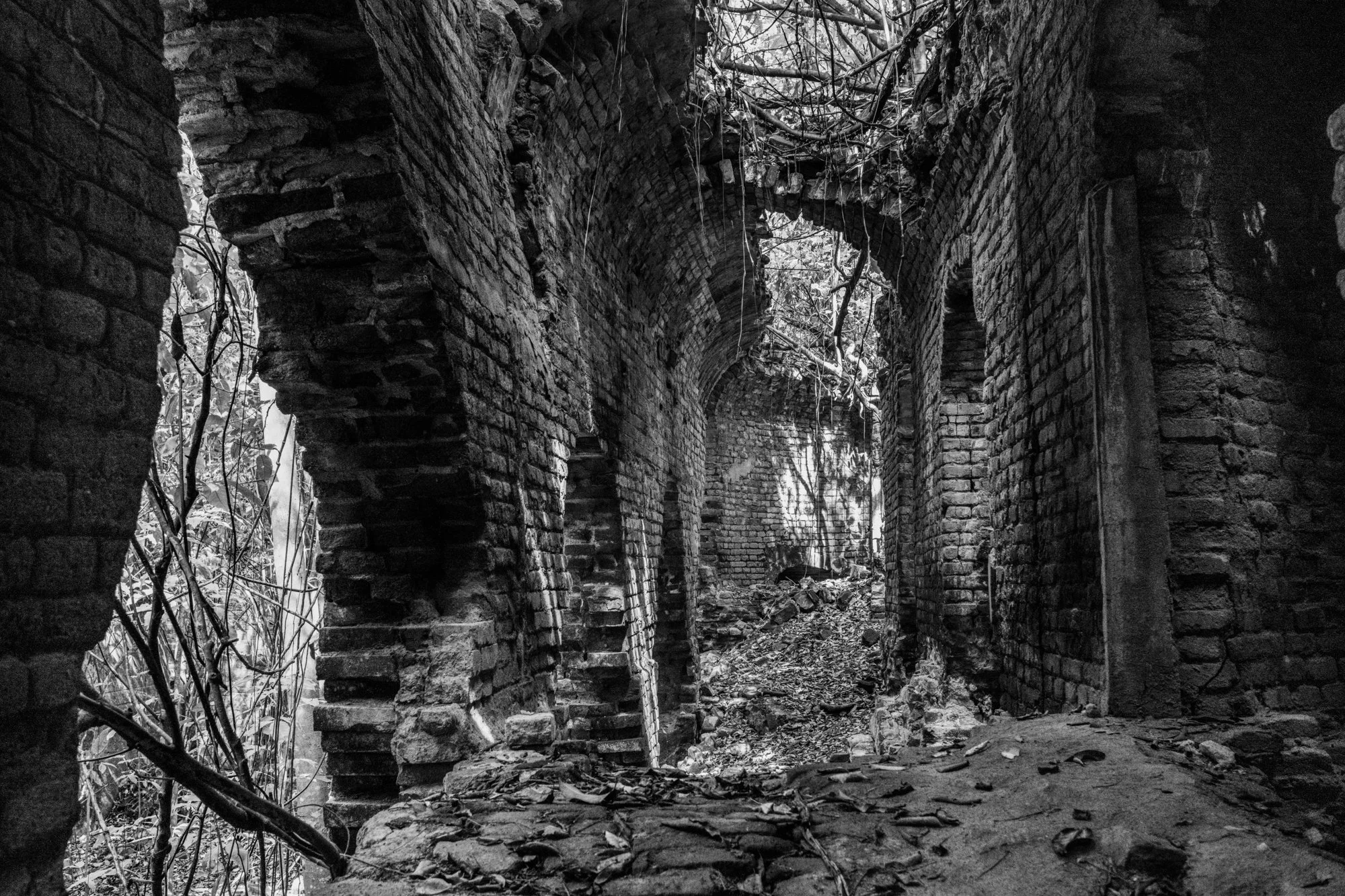 Black-and-white fine art print inside the Central Playa Grande sugar mill ruins in Vieques, Puerto Rico. Atmospheric industrial wall art reclaimed by nature.