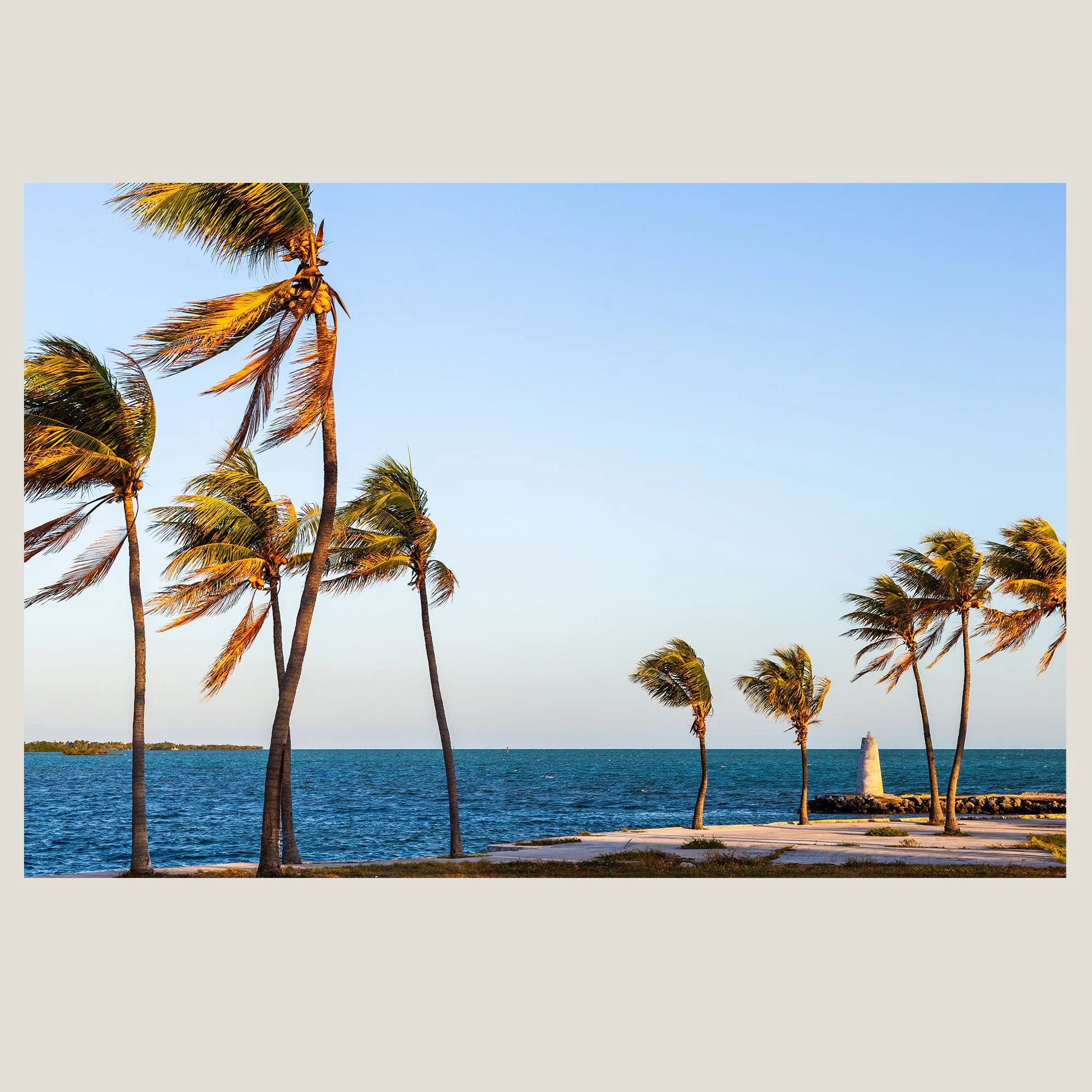 palms-beacon-marathon-key-florida-wall-art.jpg