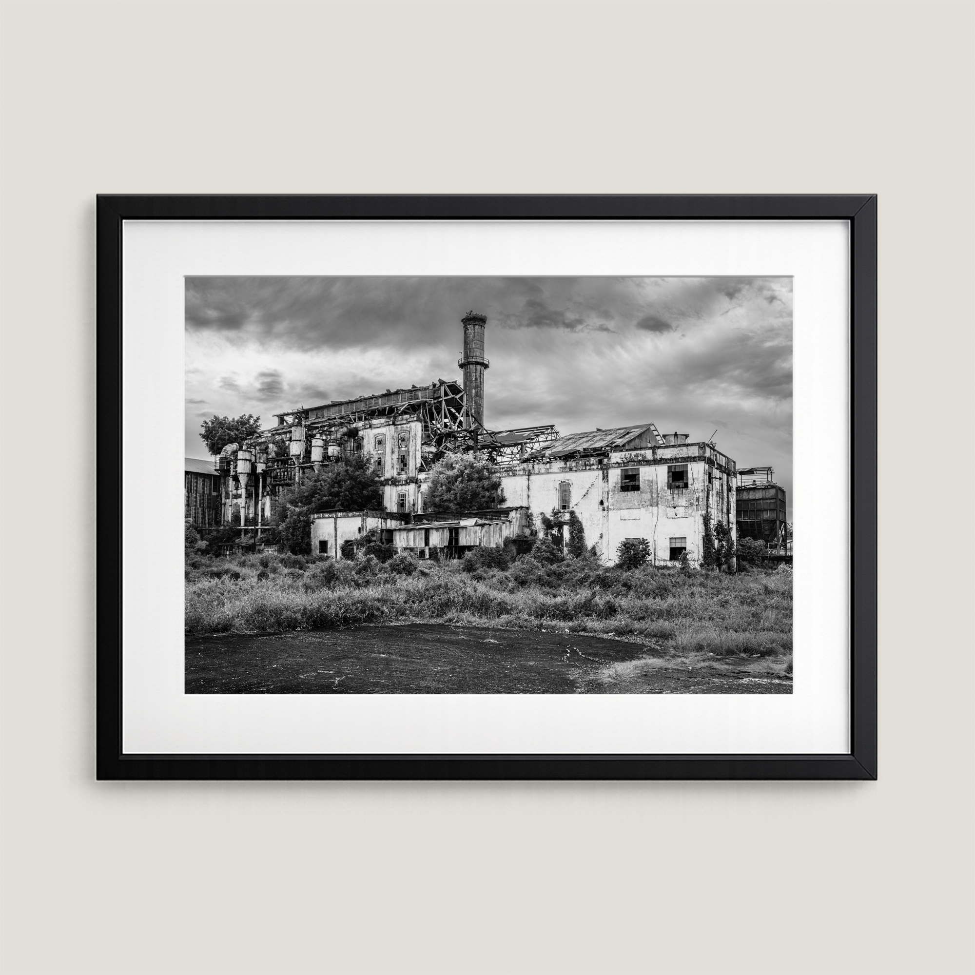overgrown-central-coloso-ruins-aguada-puerto-rico-framed-print.png