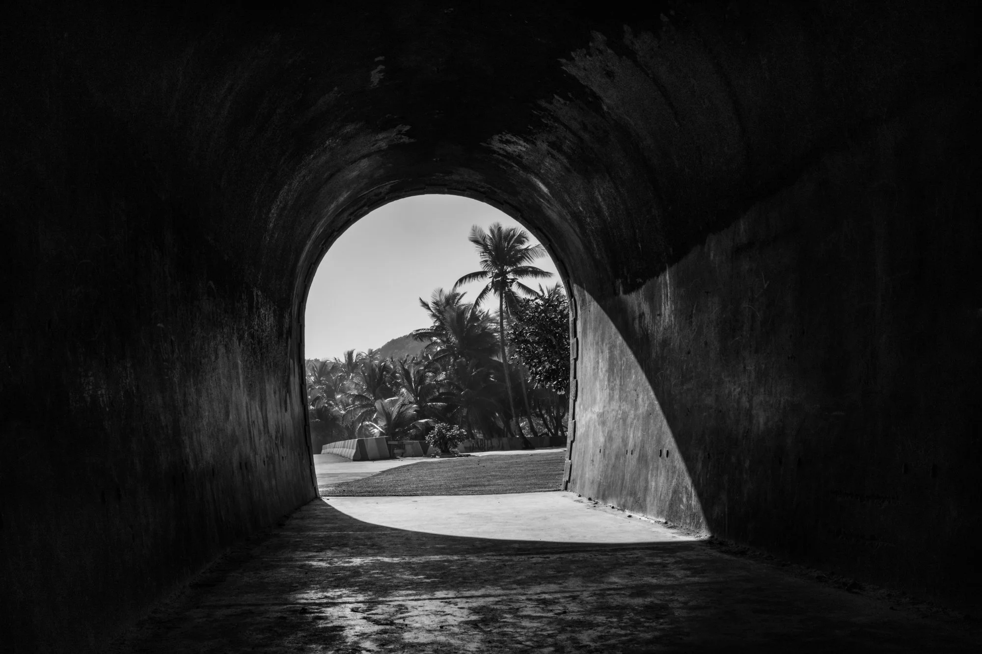 Black-and-white fine art print looking from Guajataca Tunnel toward palms in Isabela, Puerto Rico. Atmospheric wall art exploring shadow, light, and arrival.