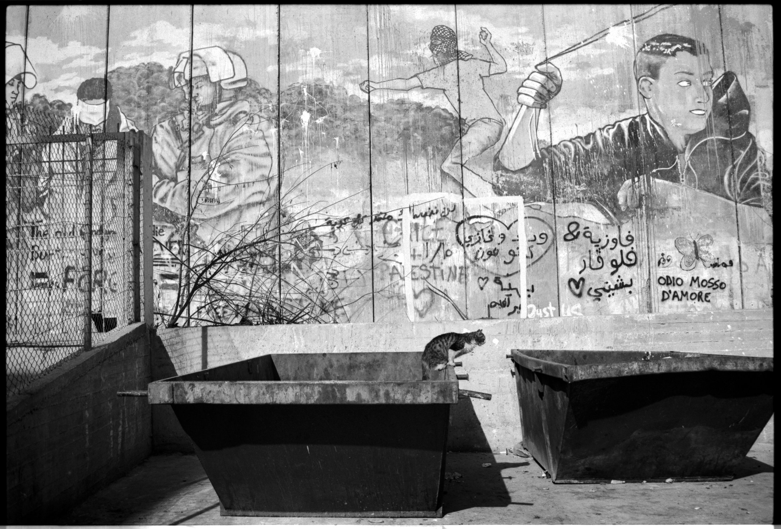 Delta100032 copy.jpg