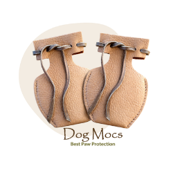 dog mocs.png