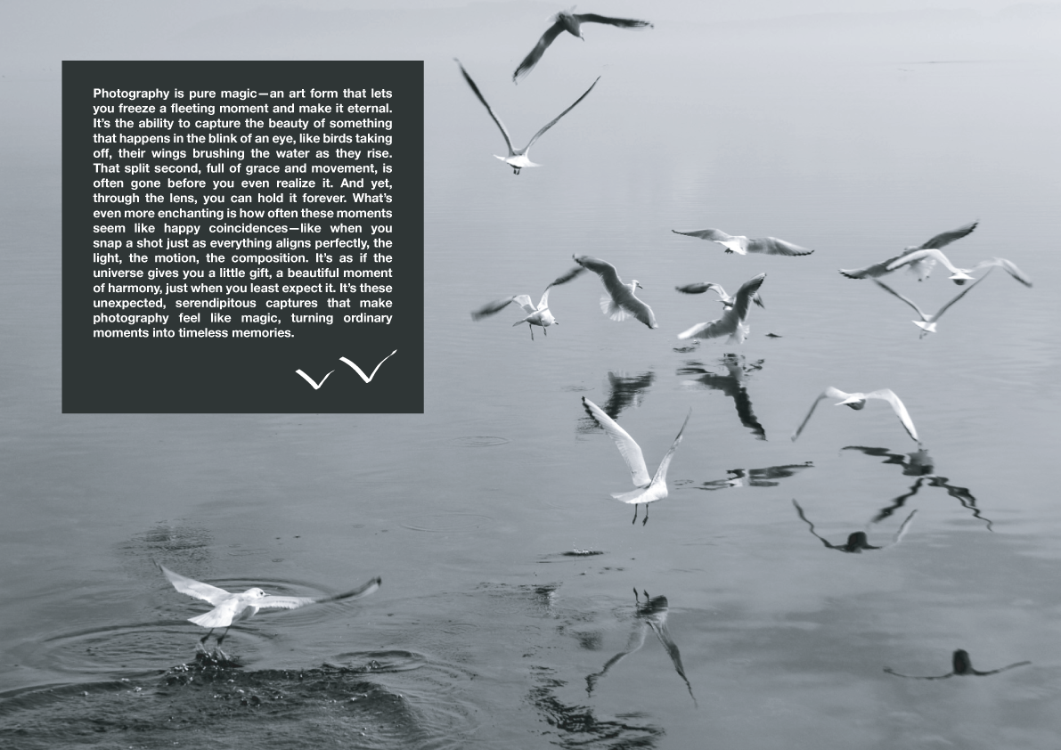 Plan de travail 7 Copier 2.png