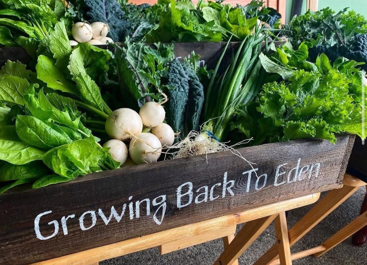 A wooden planter box filled with assorted leafy greens and vegetables, with a handwritten sign reading "Growing Back To Eden."