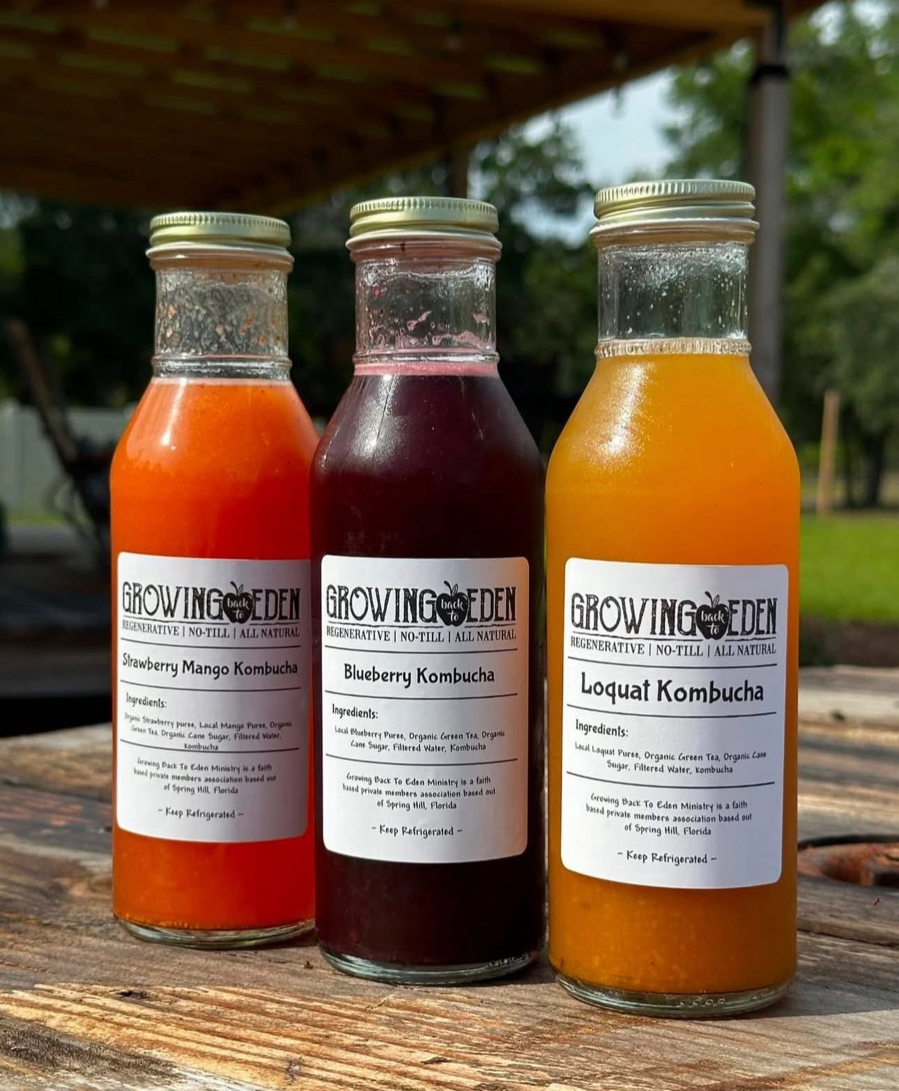 Three glass bottles of kombucha on a wooden surface, labeled as Strawberry Mango Kombucha, Blueberry Kombucha, and Loquat Kombucha, outdoors with trees in the background.