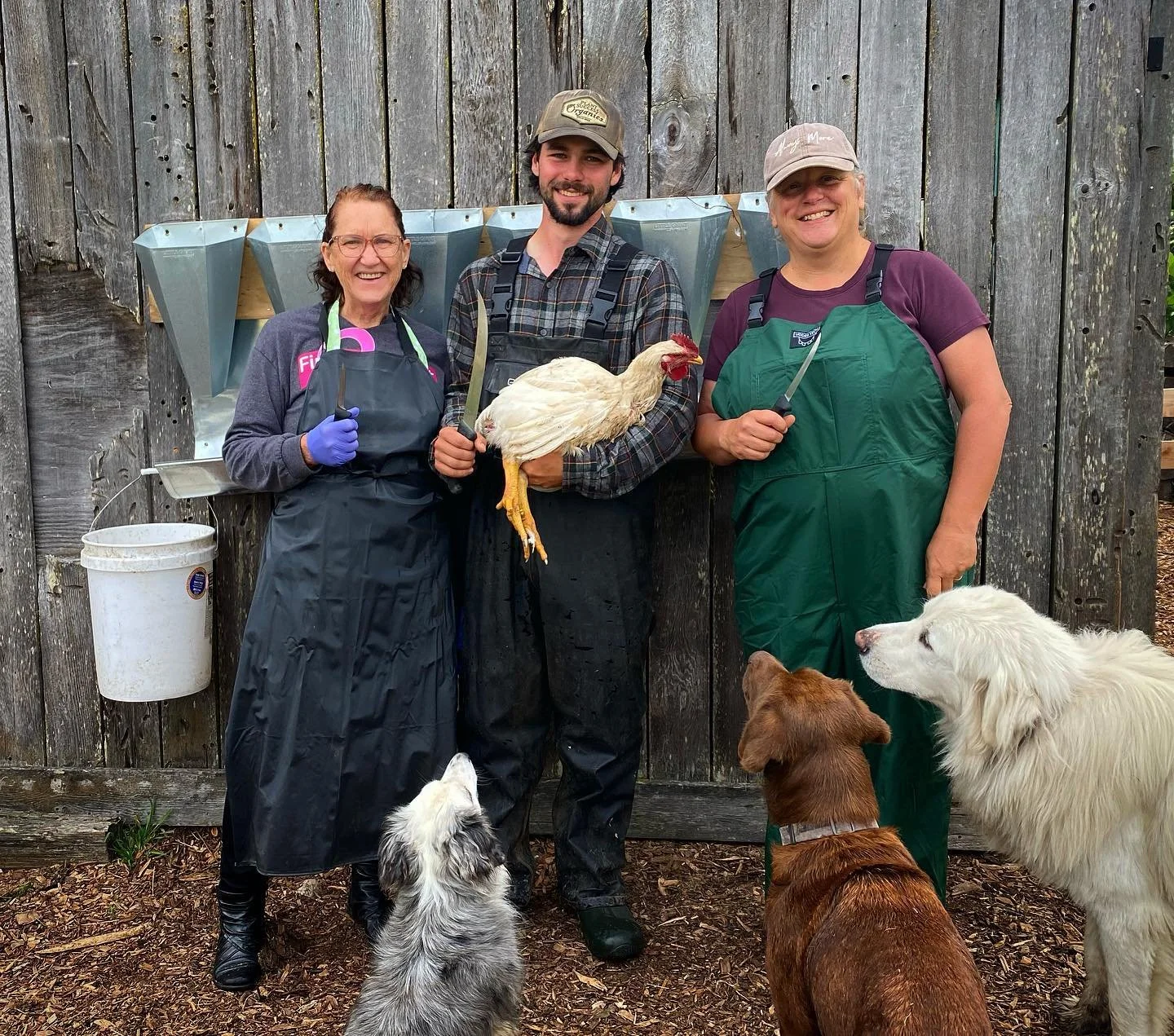 Three people posing outdoors in front of a wooden fence, with a hen held by the man in the middle, and three dogs sitting on the ground, looking up at the people. All three people are smiling and wearing outdoor or farm work attire.