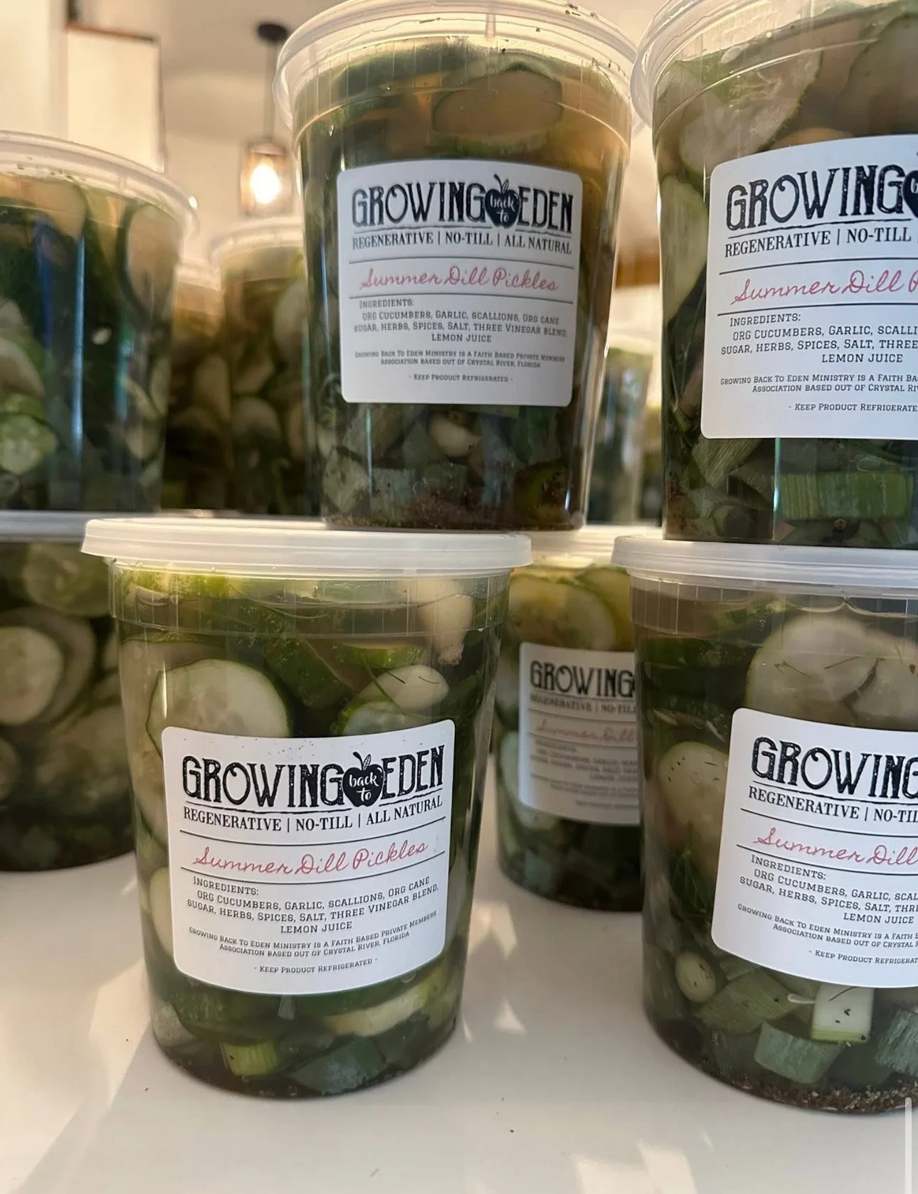 Containers of Summer Dill Pickles from Growing Eden, filled with sliced cucumbers, garlic, scallions, and spices.
