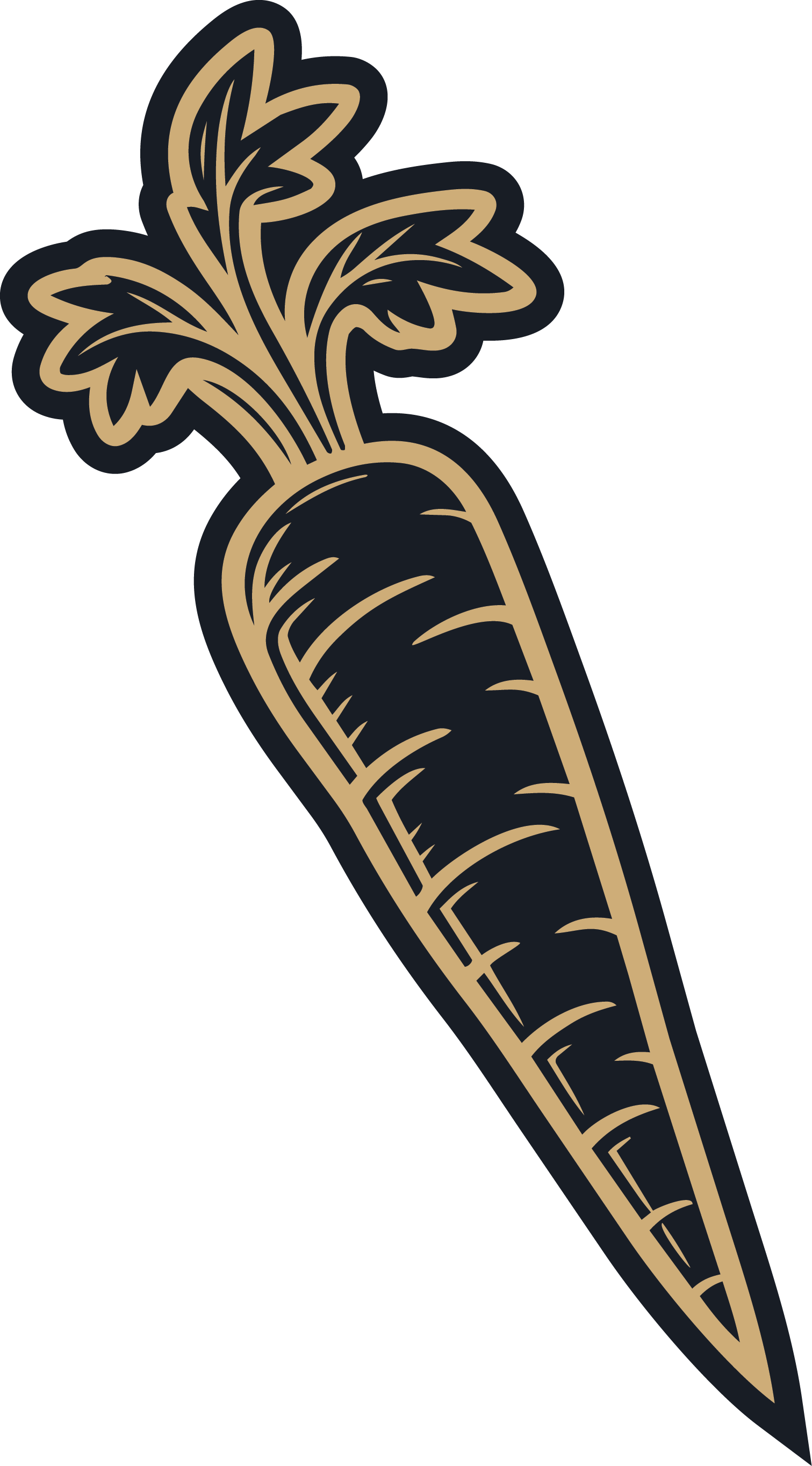 Illustration of a black carrot with beige outlines and green leafy tops.