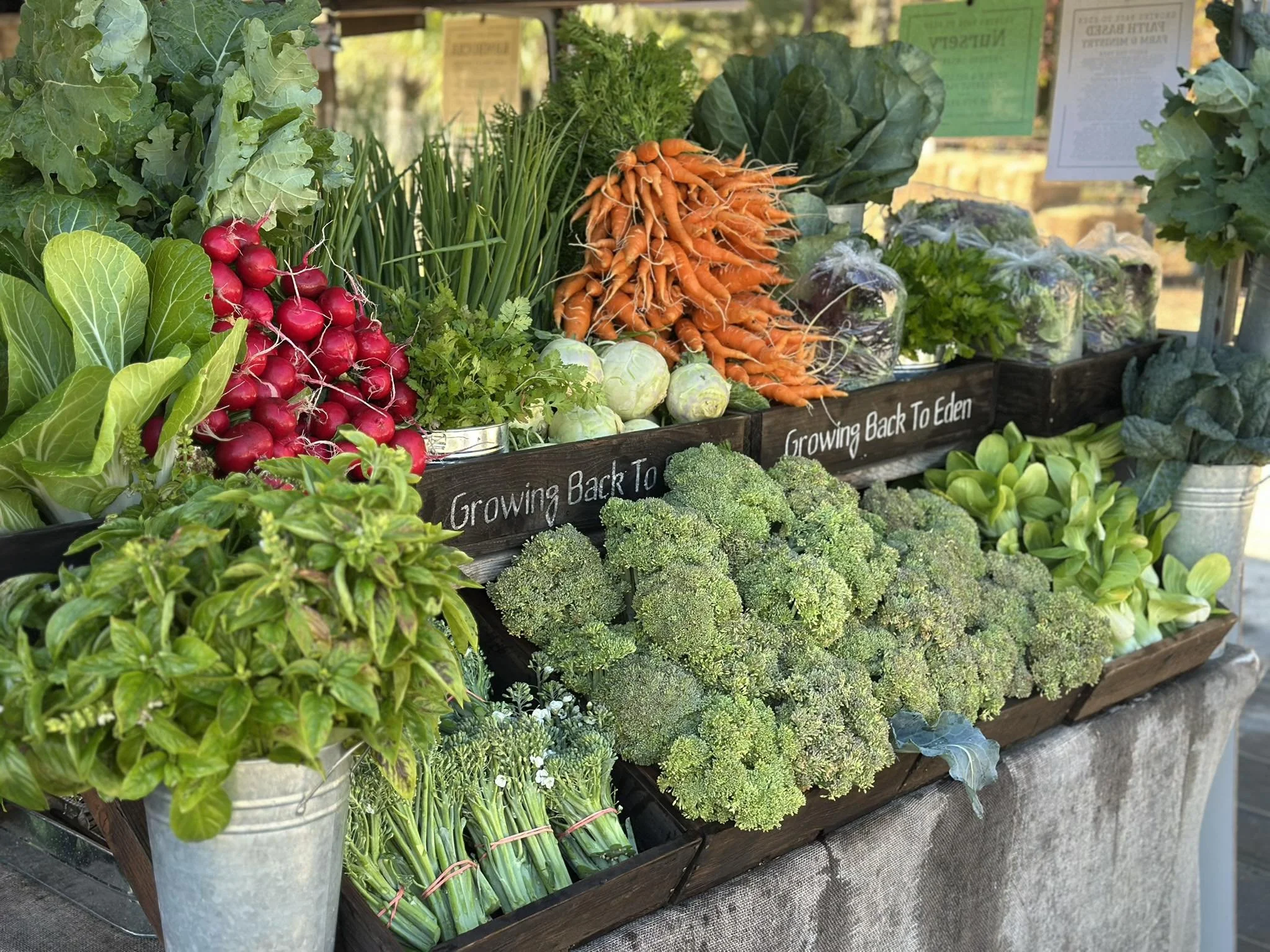 Fresh vegetables at a farmer's market display, including radishes, carrots, broccoli, lettuce, and herbs in wooden crates and metal buckets, with signs reading 'Growing Back To Eden'.