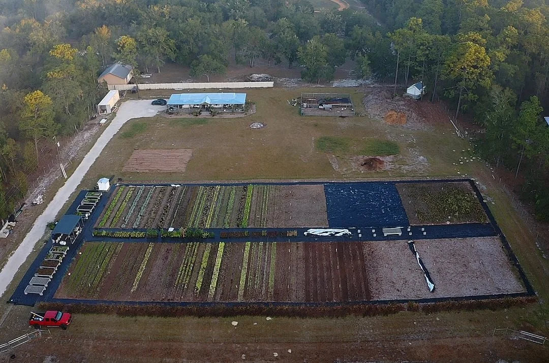 Aerial view of a small farm with vegetable gardens, a red truck, and a wooded area in the background.