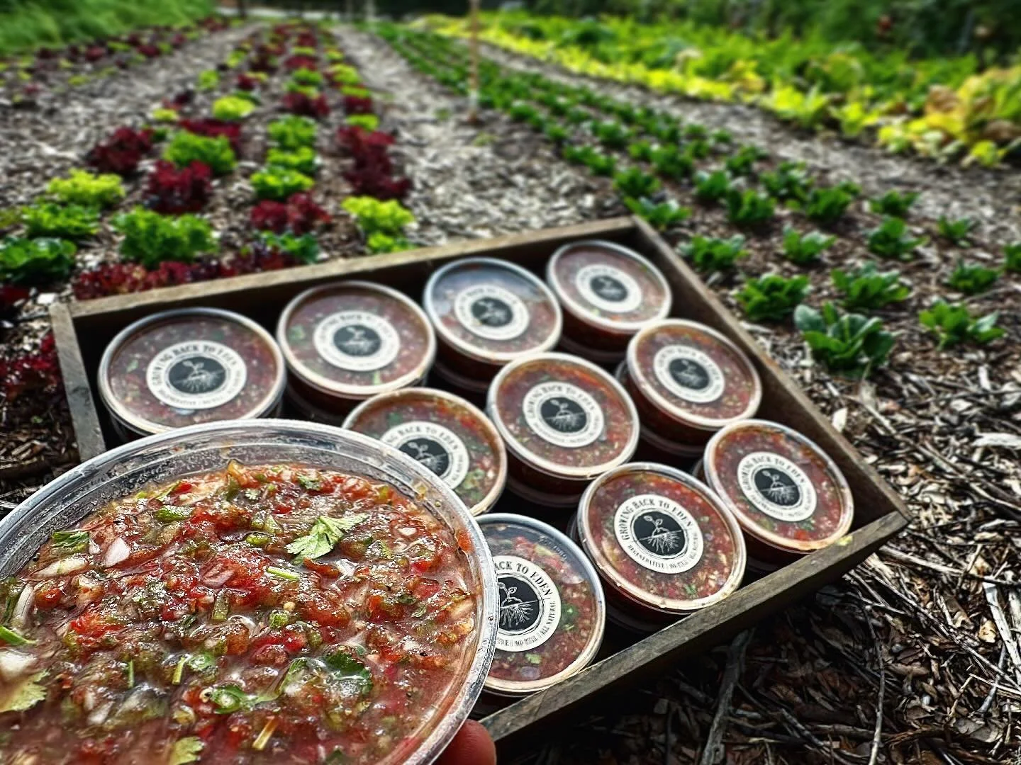 Containers of homemade salsa placed on a wooden tray outdoors, with a garden of leafy greens and vegetables in the background.