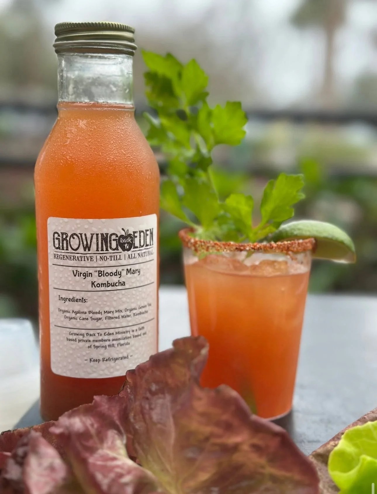 A bottle of Growing Back To Eden Virgin 'Bloody' Mary Kombucha with a glass of the beverage garnished with a lime wedge and a leafy green herb plant, placed on a surface with autumn-colored leaves in the foreground.