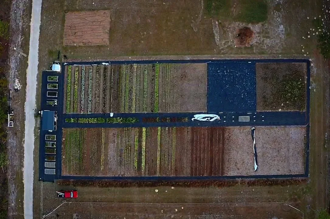 An aerial view of a rectangular community garden with multiple plots, some with plants, enclosed by a frame, with a small red vehicle parked nearby.