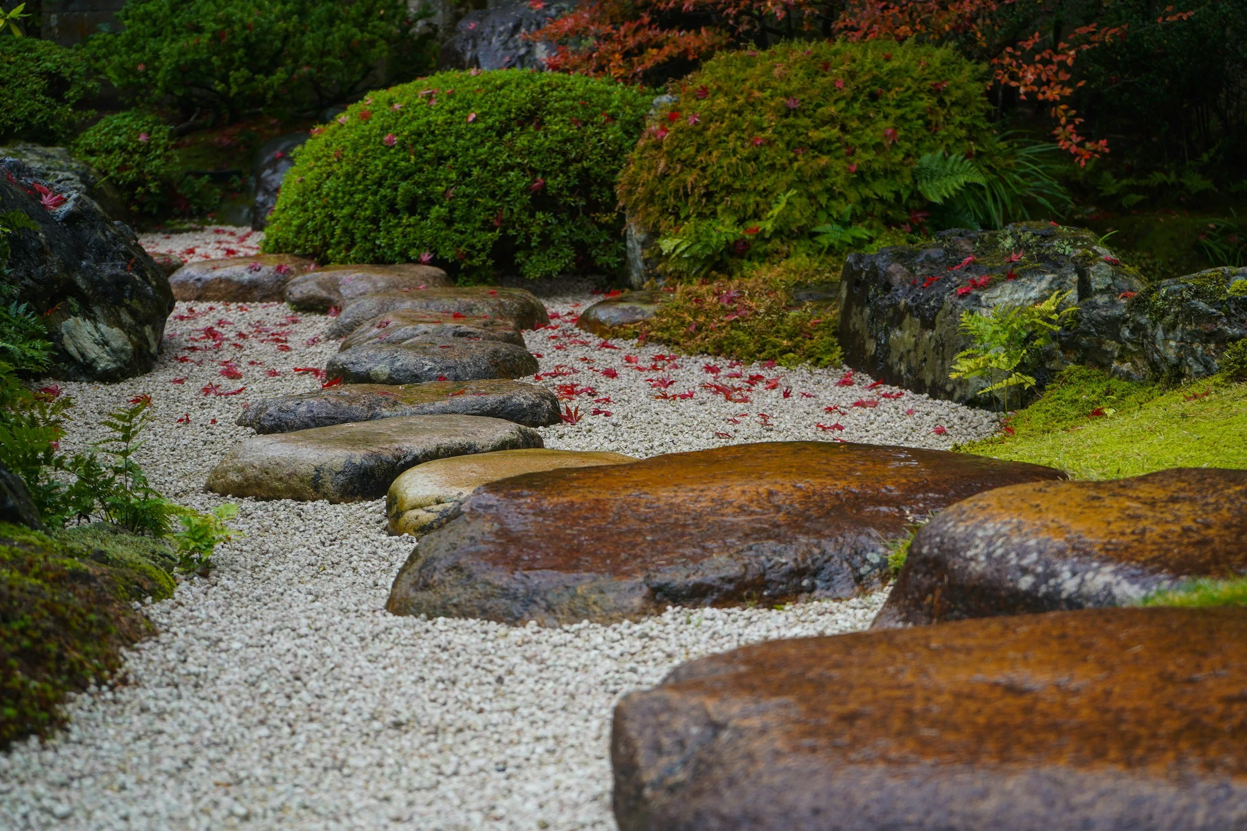 A Japanese-style garden with a stone pathway, surrounded by lush green shrubs, moss, and fallen red leaves.