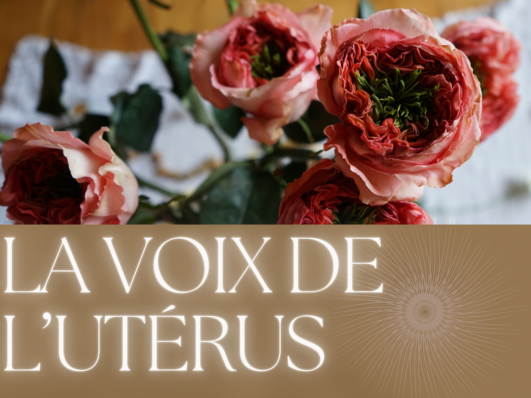 Retraite pour femmes en Équateur