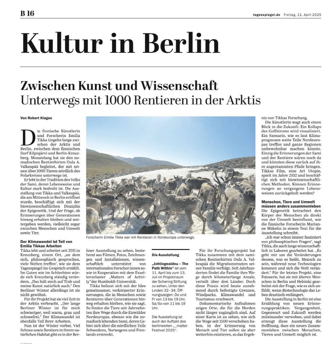 German newspaper article titled 'Kultur in Berlin' about art, science, and wildlife research involving reindeer in the Arctic, with a photo of a herd of reindeer on a snow-covered landscape.