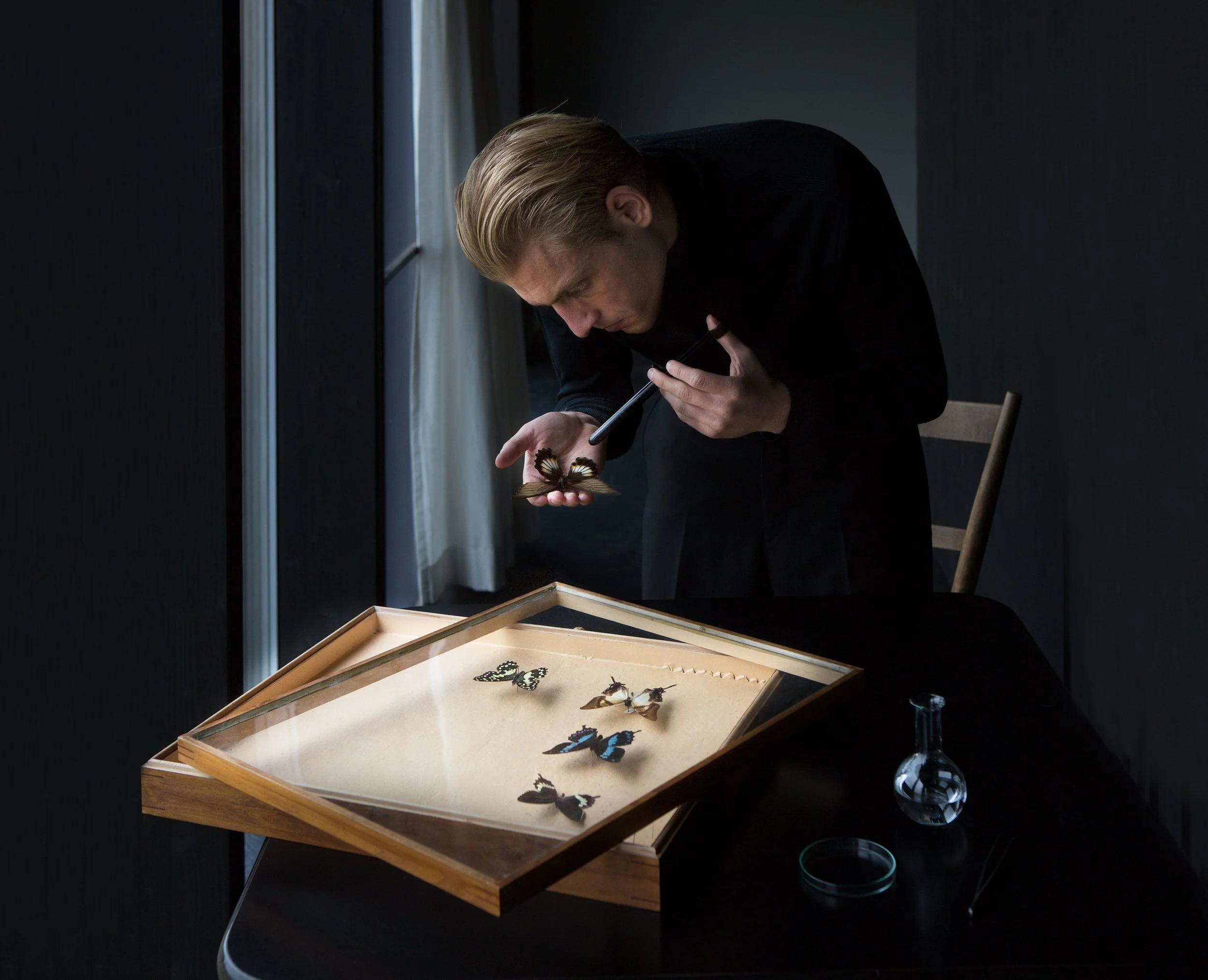 A person with blonde hair leaning over a display case of various butterflies and insects, with a dark room atmosphere and natural light coming from a window.