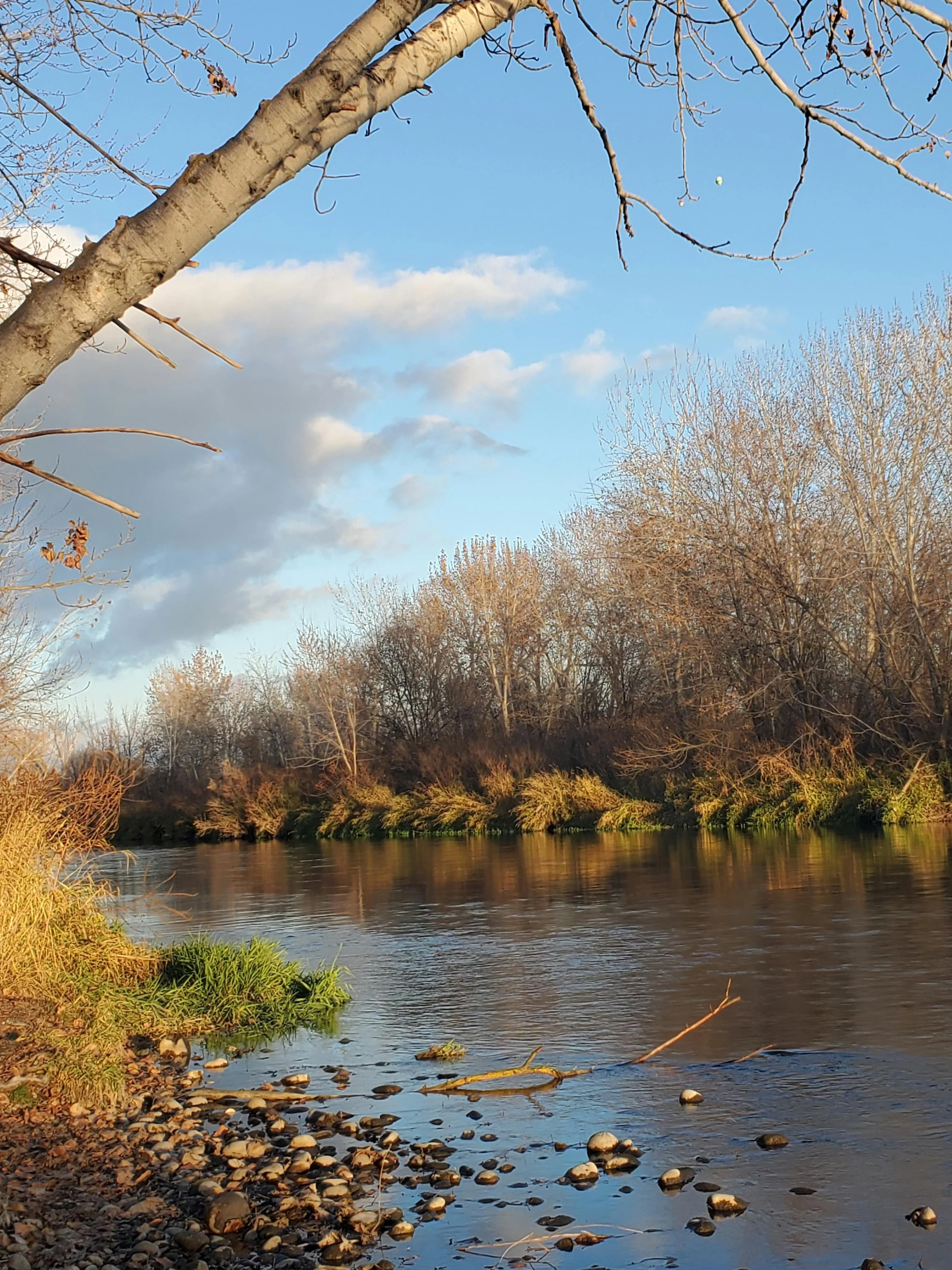 A river with a rocky shore, leafless trees on the opposite bank, and a partly cloudy sky during sunset.