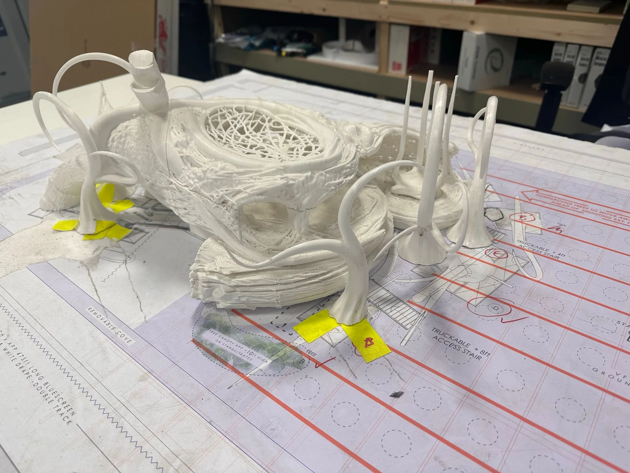 WhatsApp Image 2026-01-15 at 13.00.23 (1).jpeg