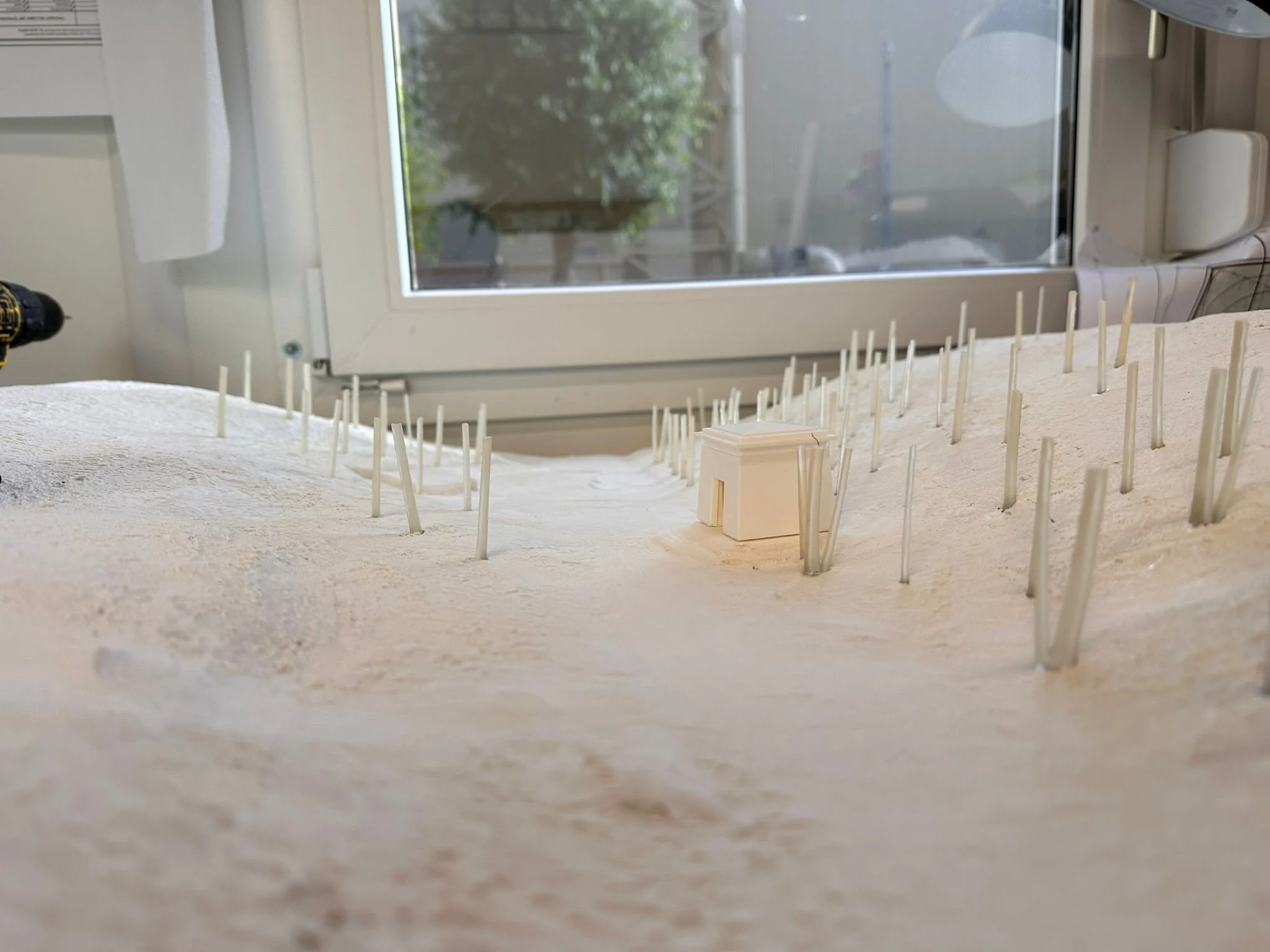 WhatsApp Image 2026-01-15 at 12.24.42.jpeg