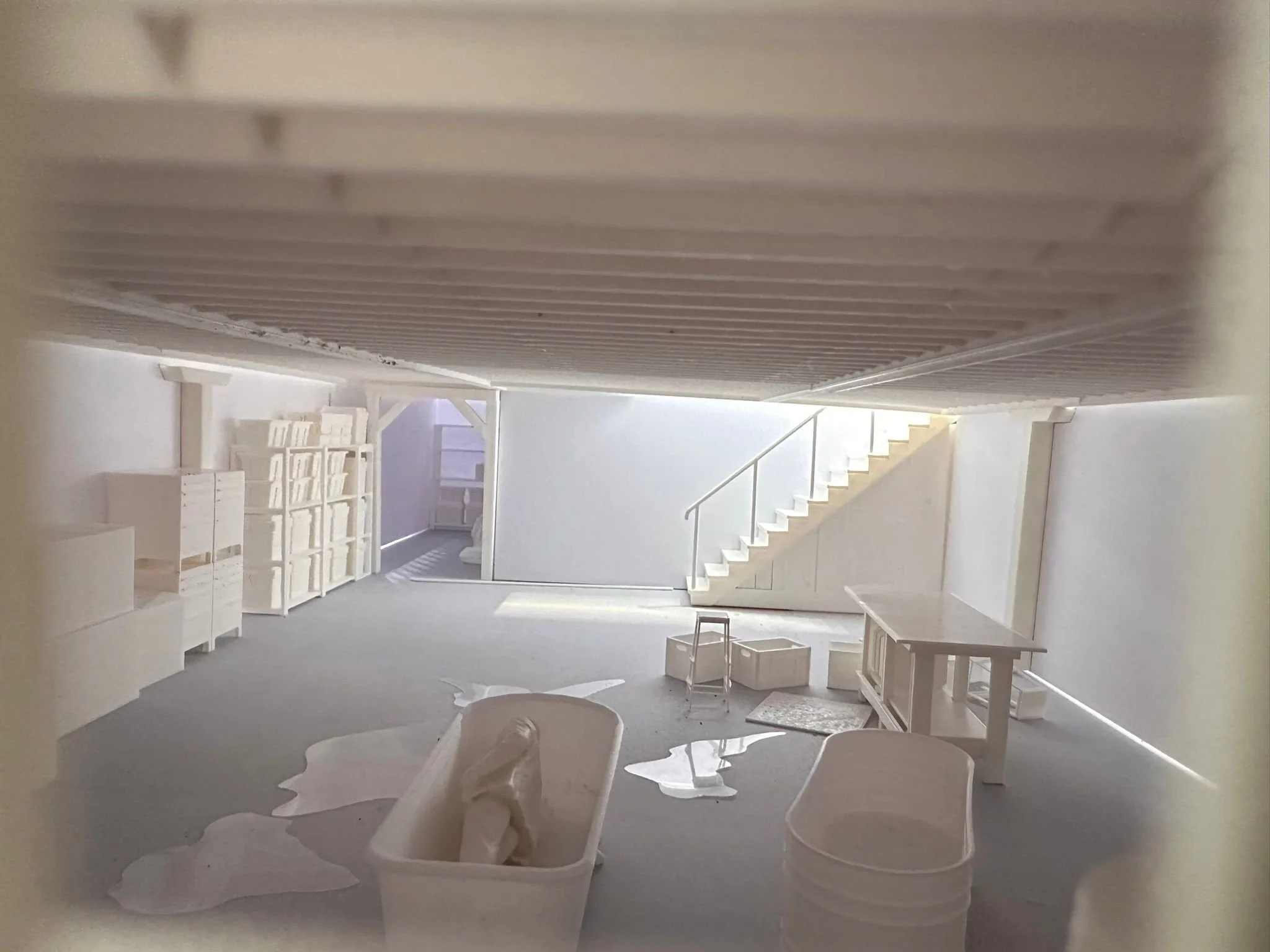 WhatsApp Image 2026-01-15 at 12.24.41 (9).jpeg