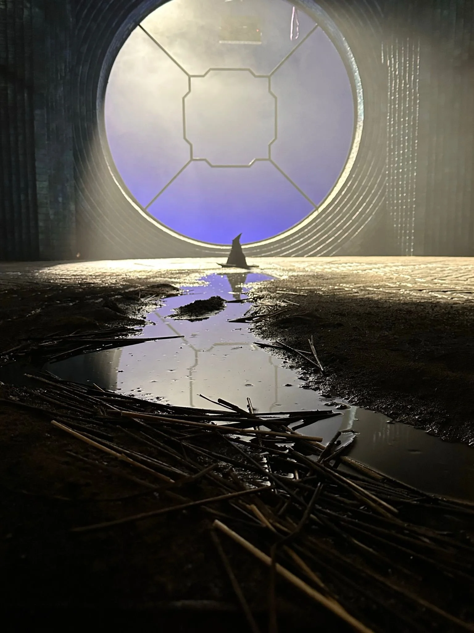 WhatsApp Image 2026-01-15 at 12.08.11 (10).jpeg