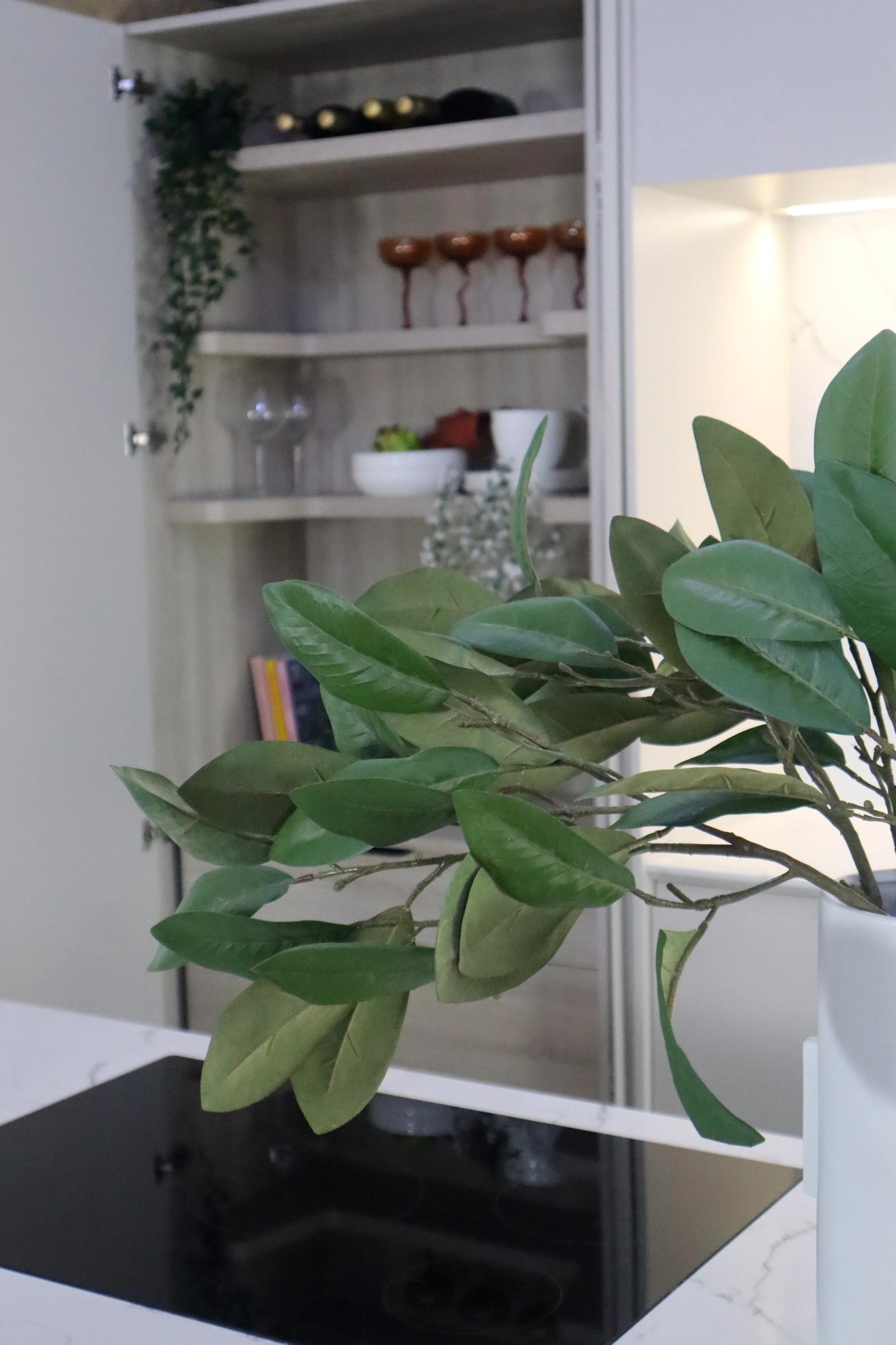 A plant with green leaves in a white pot on a kitchen counter, with an open cabinet in the background showing plates, bowls, and glasses.