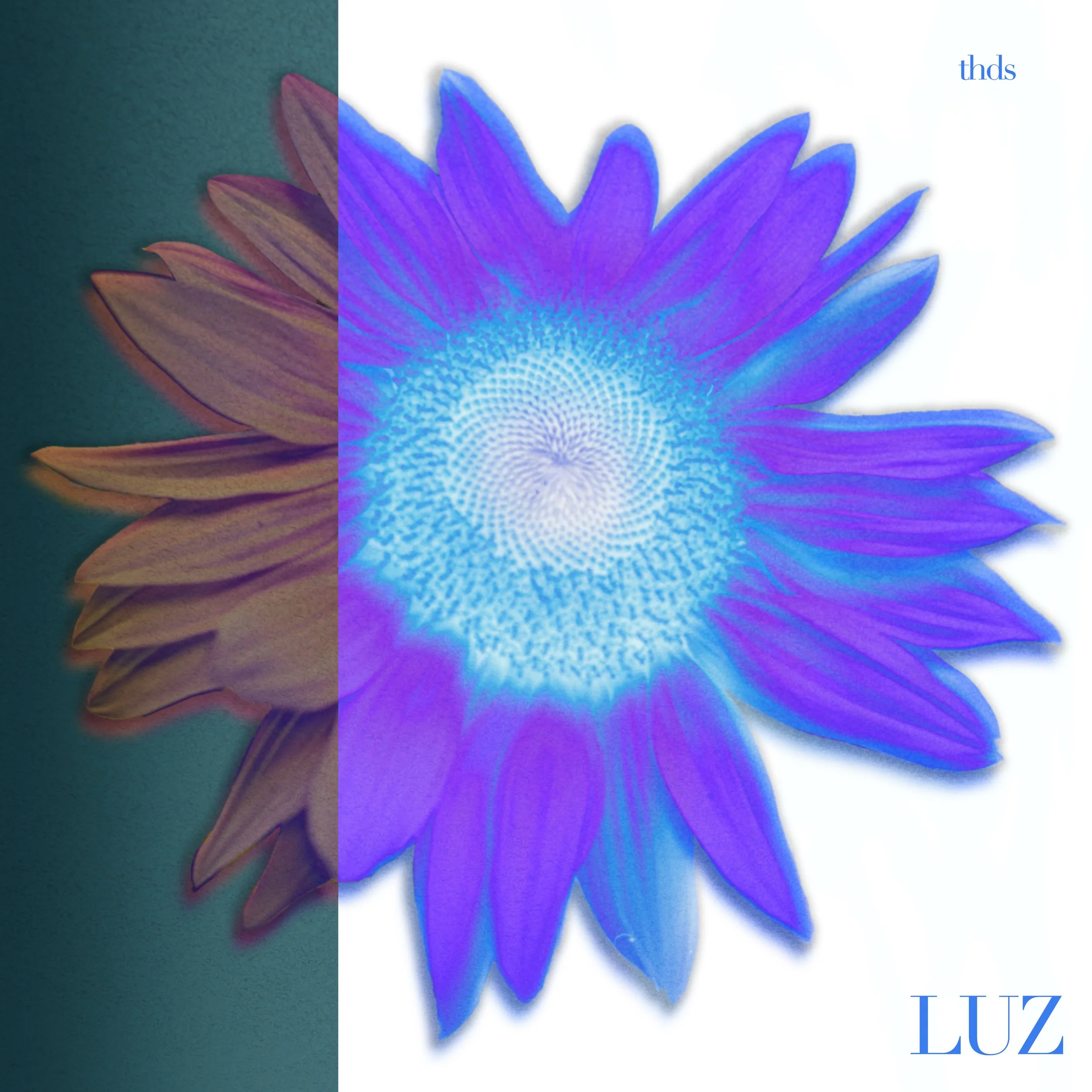 7" Vinyl Luz - thds