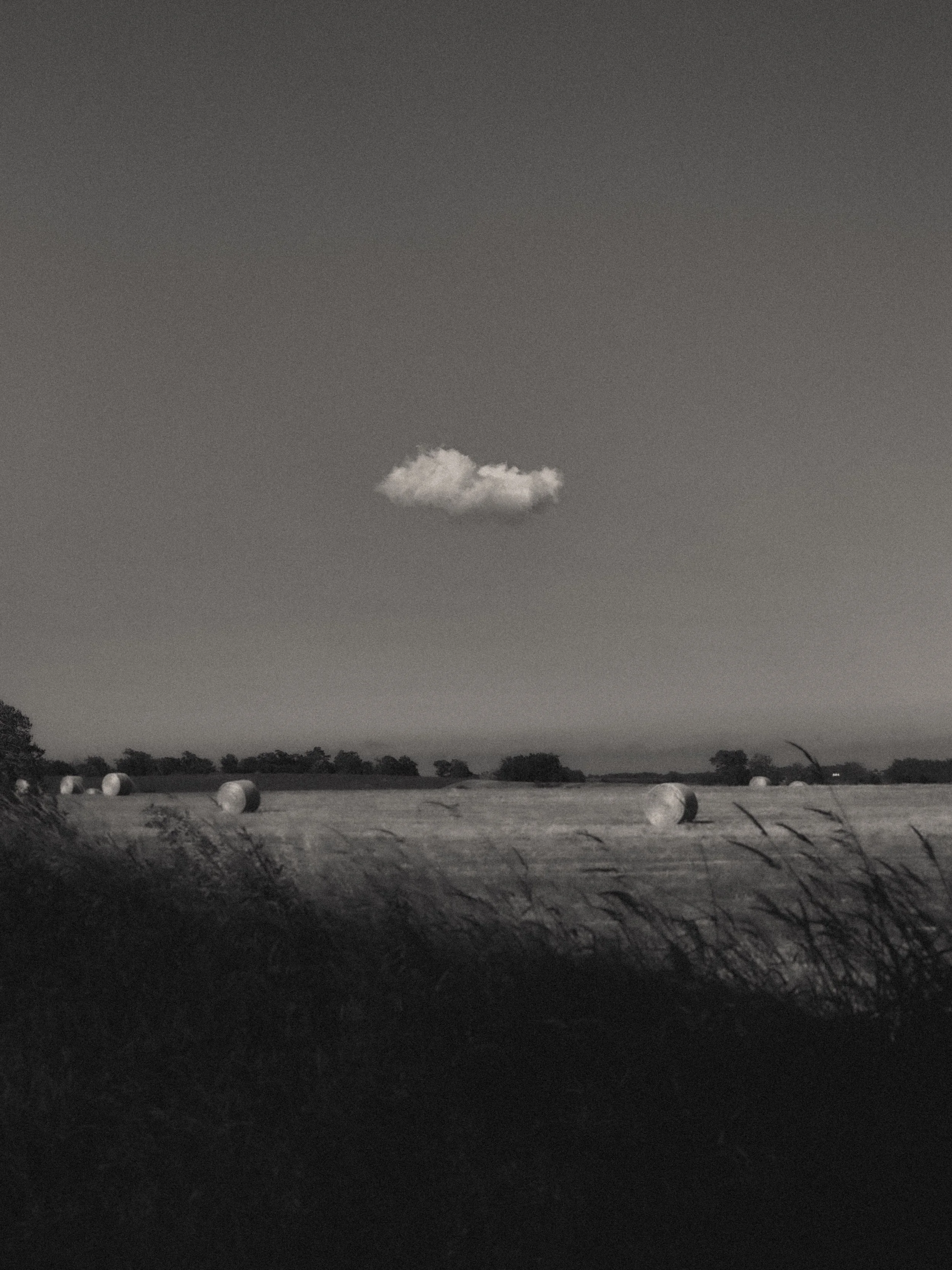 Paisaje rural en colores negros y blancos con trigo y varios fardos de heno en el campo, y un cielo con una sola nube.