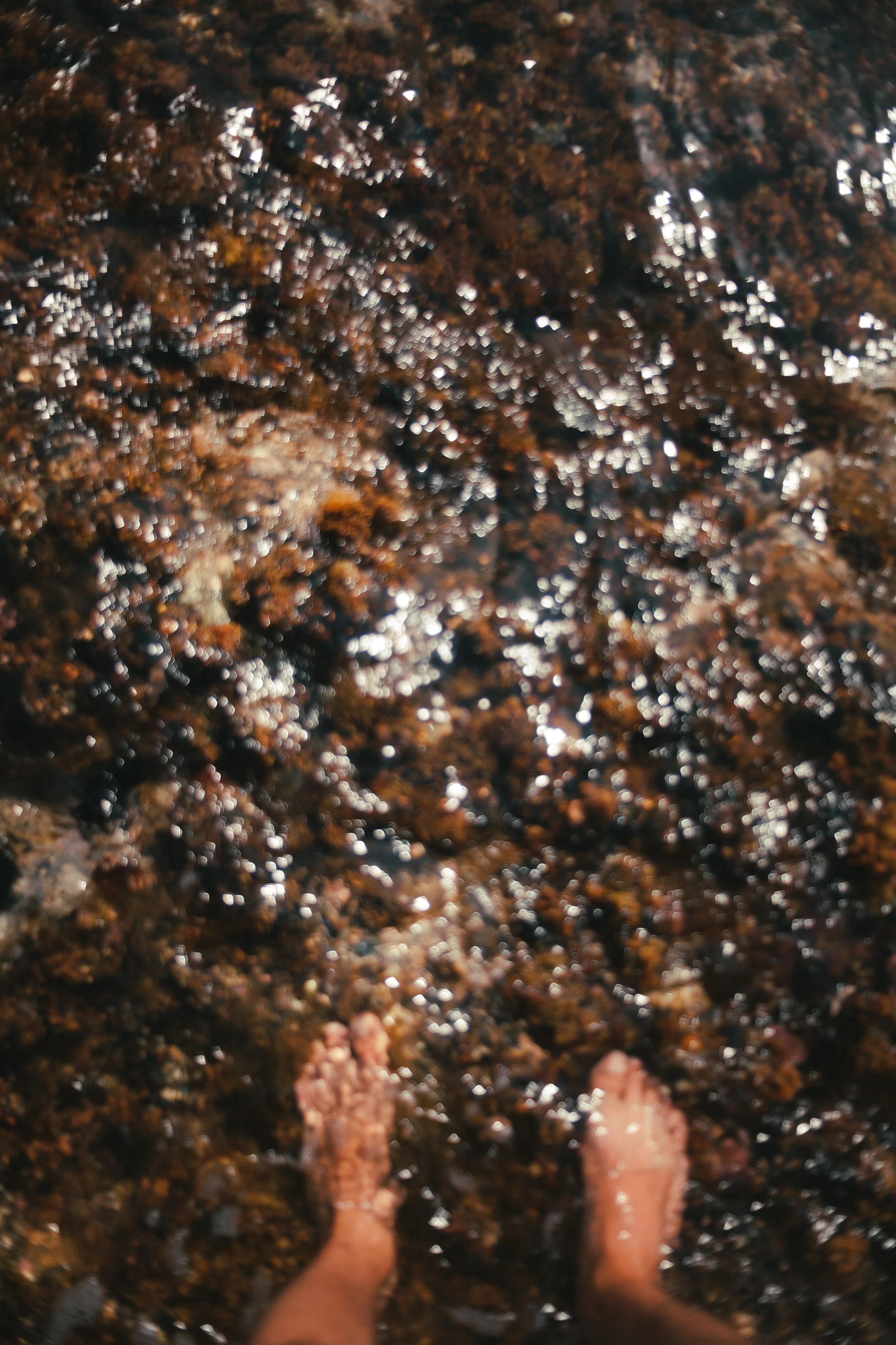 Pies descalzos en arena húmeda, con pequeñas olas y reflejos de luz, vista desde arriba.